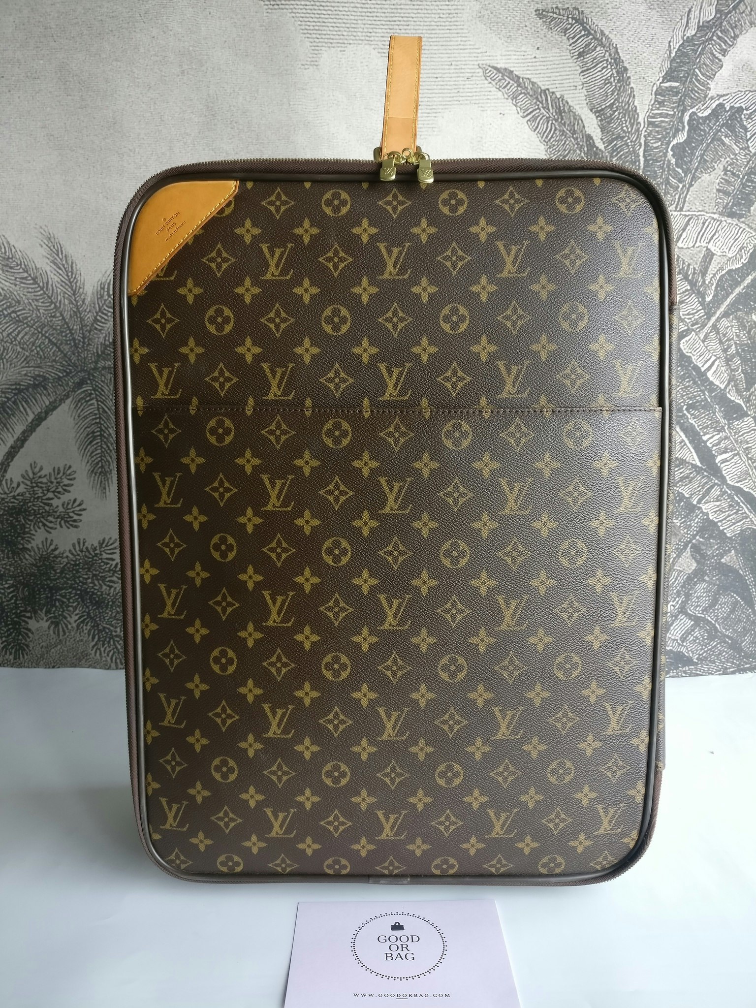 Louis Vuitton Pegase 55 with bag cover