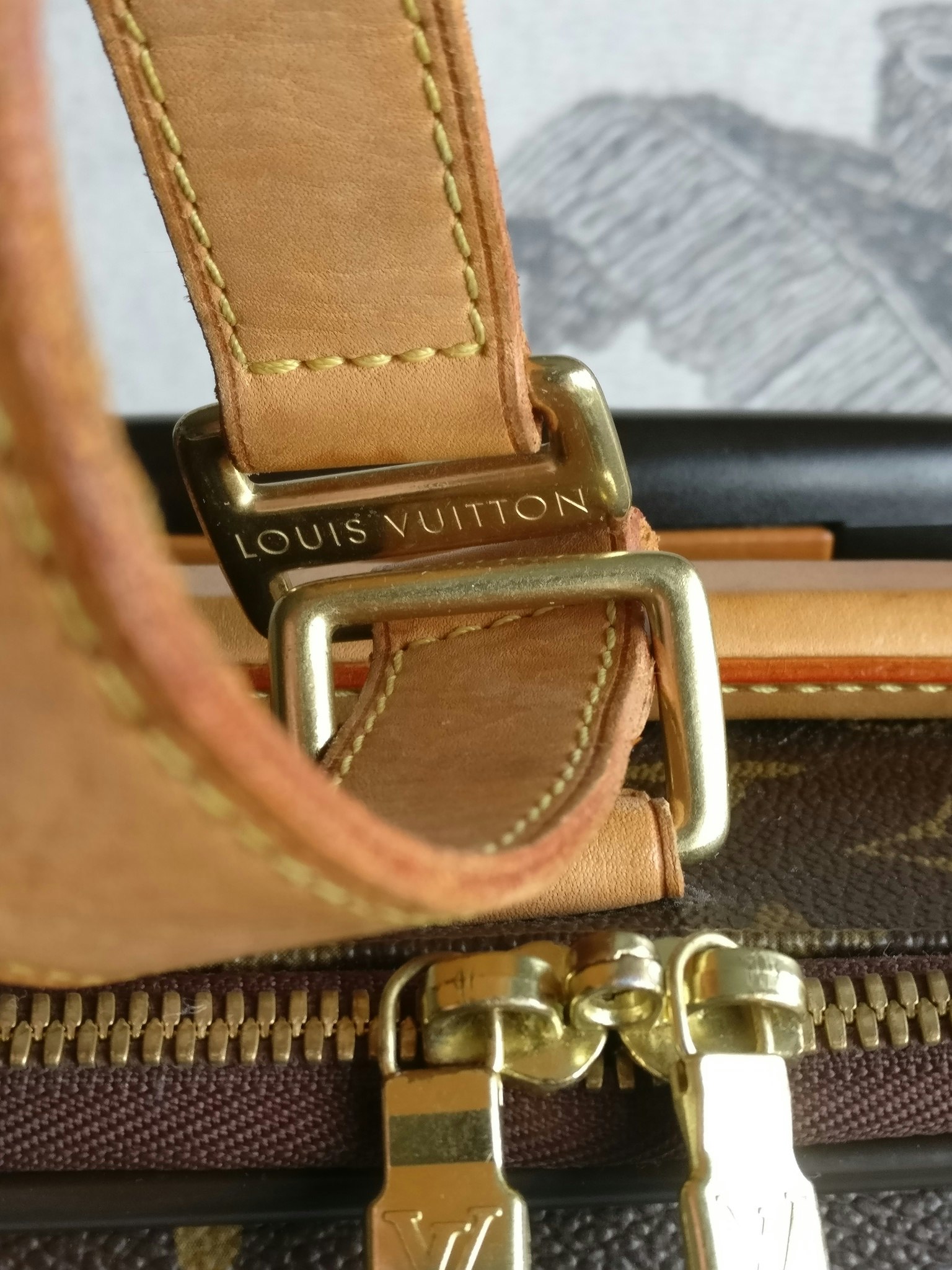 Louis Vuitton Pegase 55 with bag cover