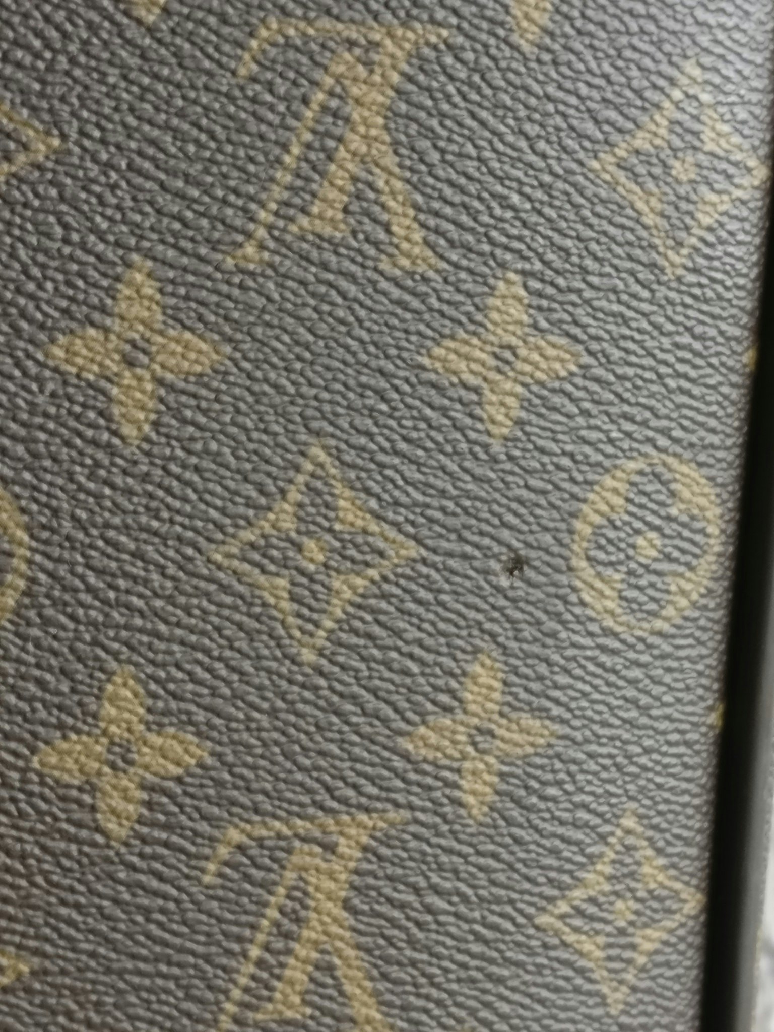 Louis Vuitton Pegase 55 with bag cover