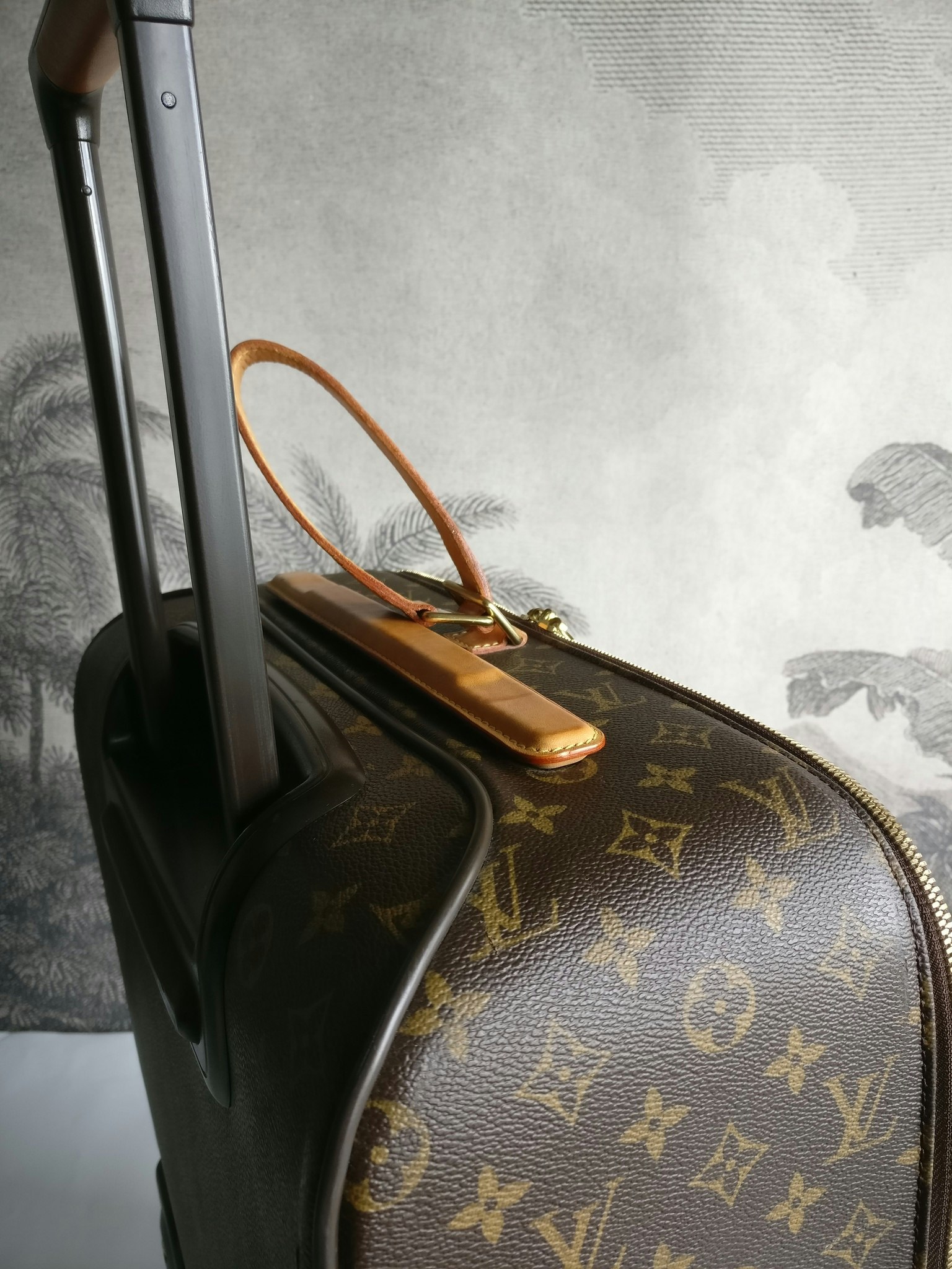 Louis Vuitton Pegase 55 with bag cover