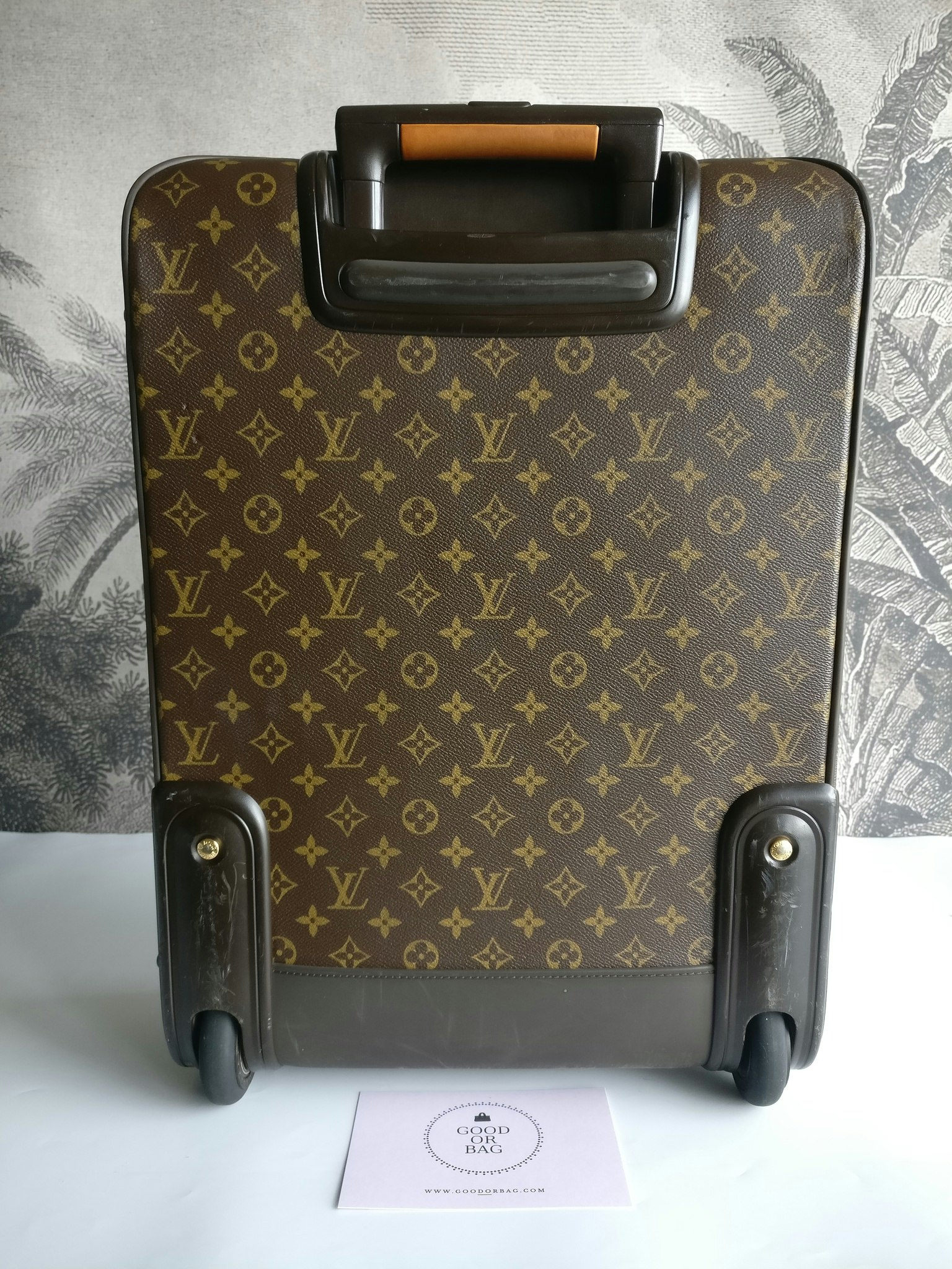 Louis Vuitton Pegase 55 with bag cover