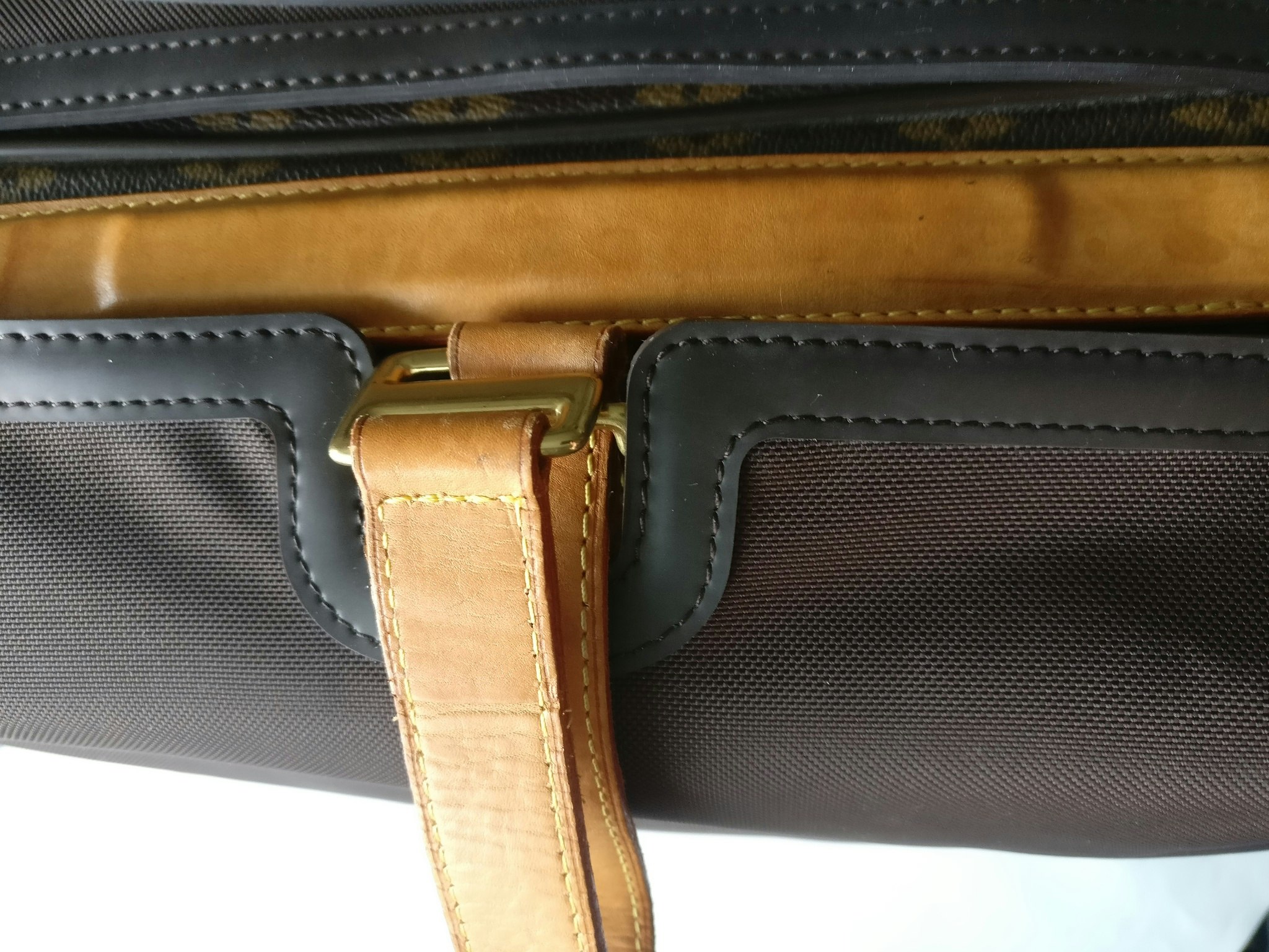 Louis Vuitton Pegase 55 with bag cover