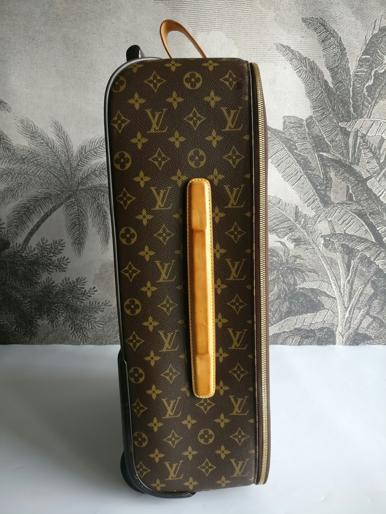 Louis Vuitton Pegase 55 with bag cover