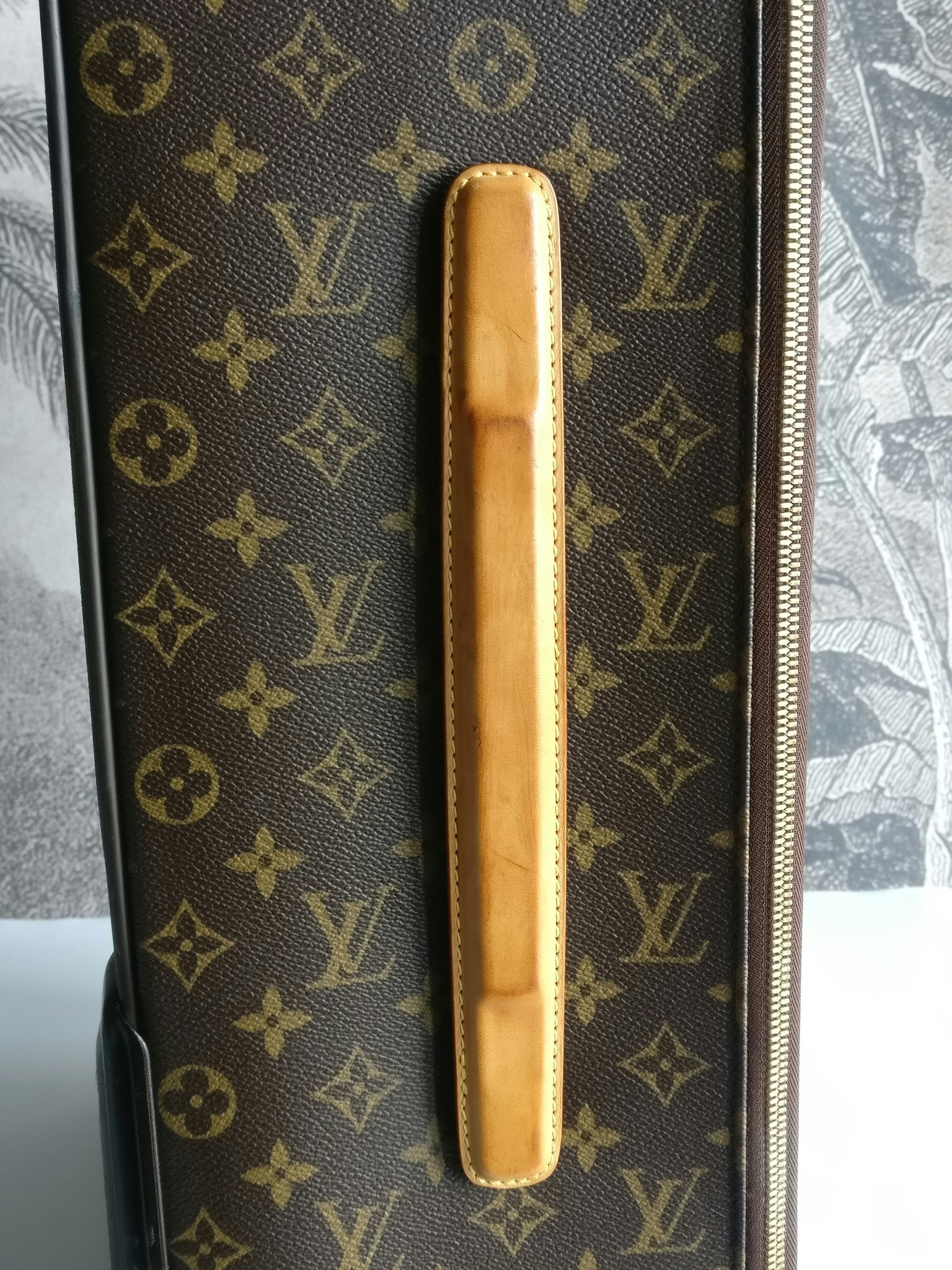 Louis Vuitton Pegase 55 with bag cover