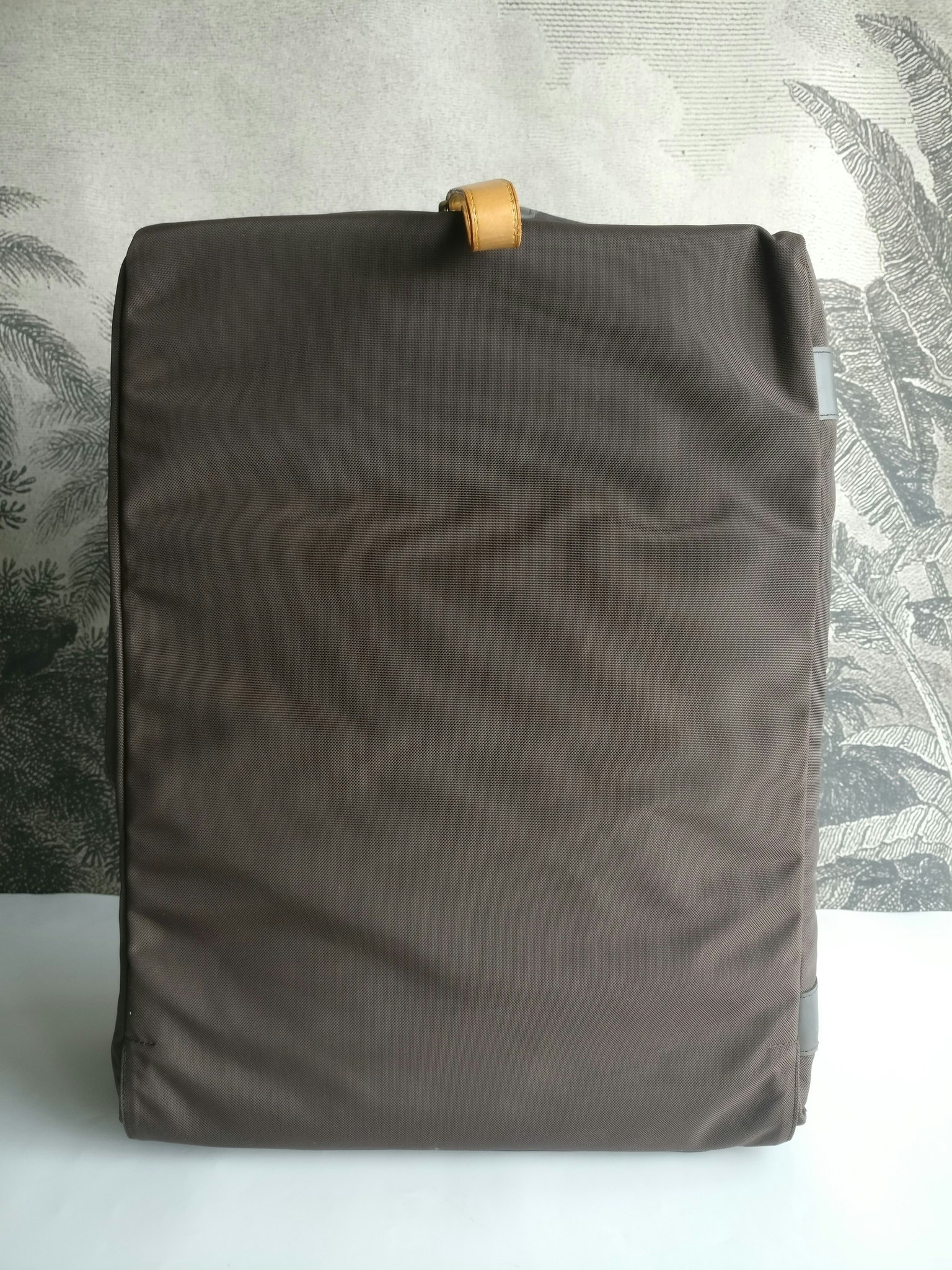 Louis Vuitton Pegase 55 with bag cover