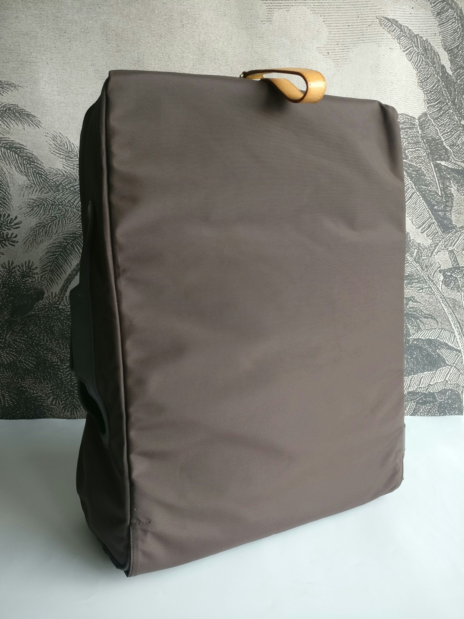 Louis Vuitton Pegase 55 with bag cover