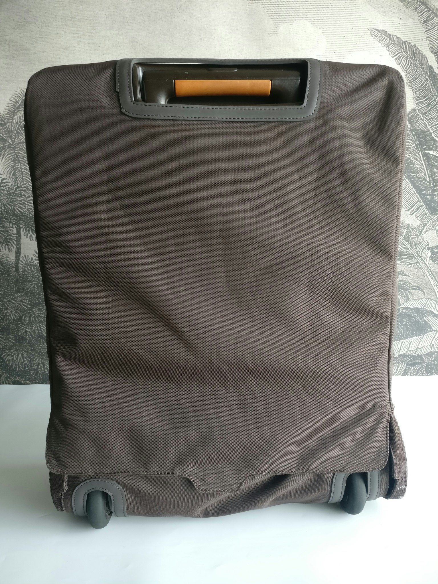 Louis Vuitton Pegase 55 with bag cover