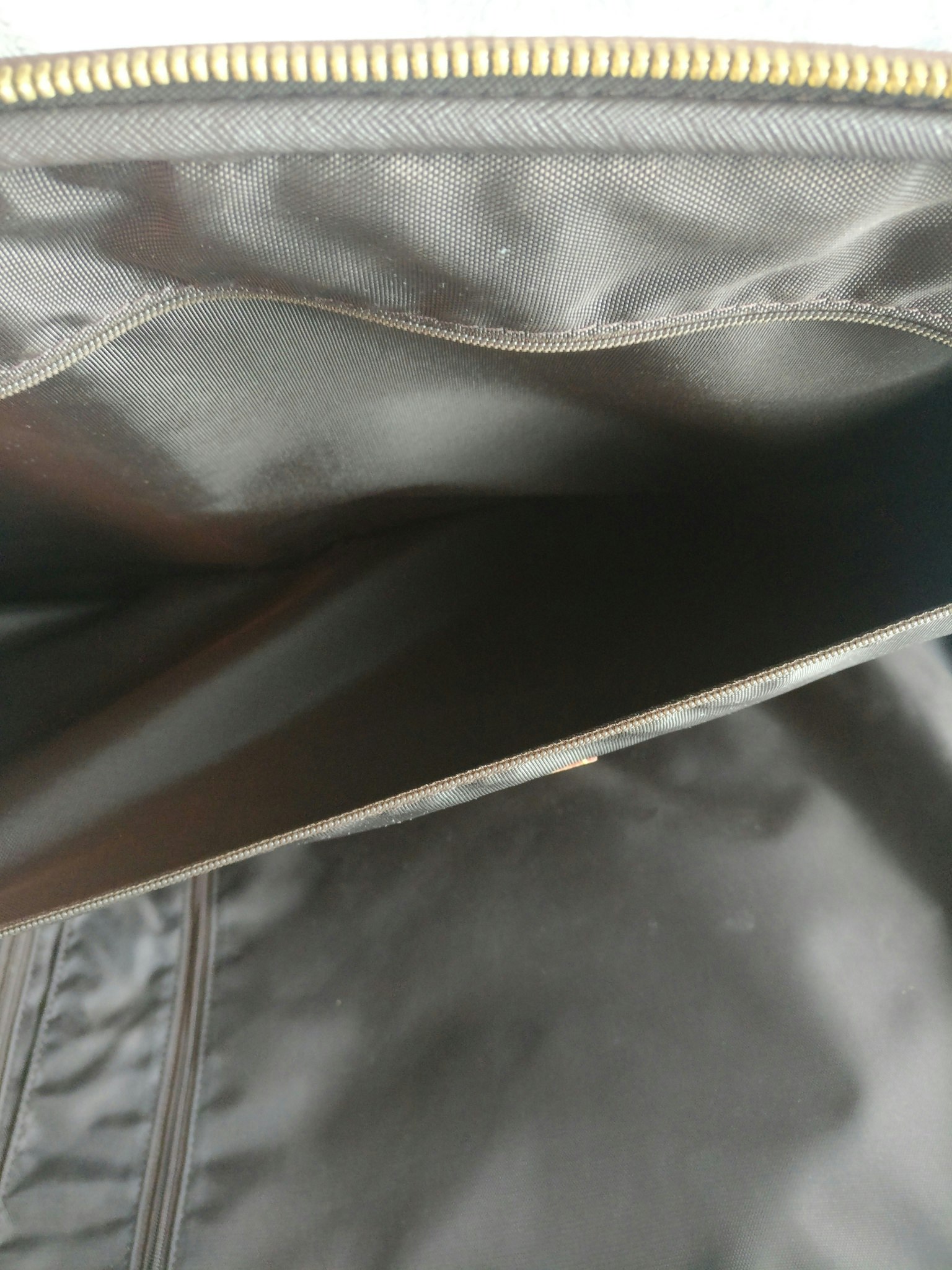 Louis Vuitton Pegase 55 with bag cover