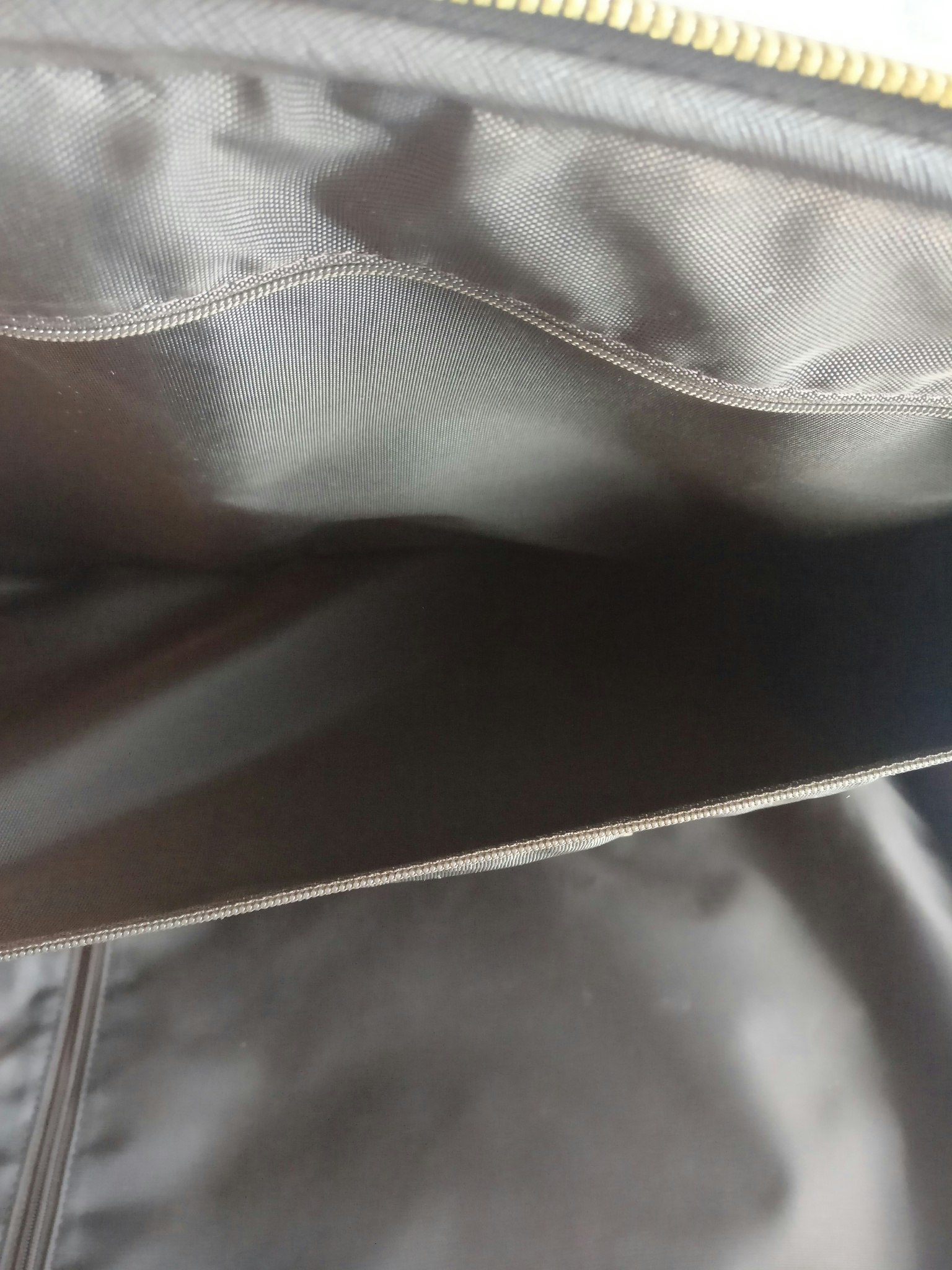 Louis Vuitton Pegase 55 with bag cover