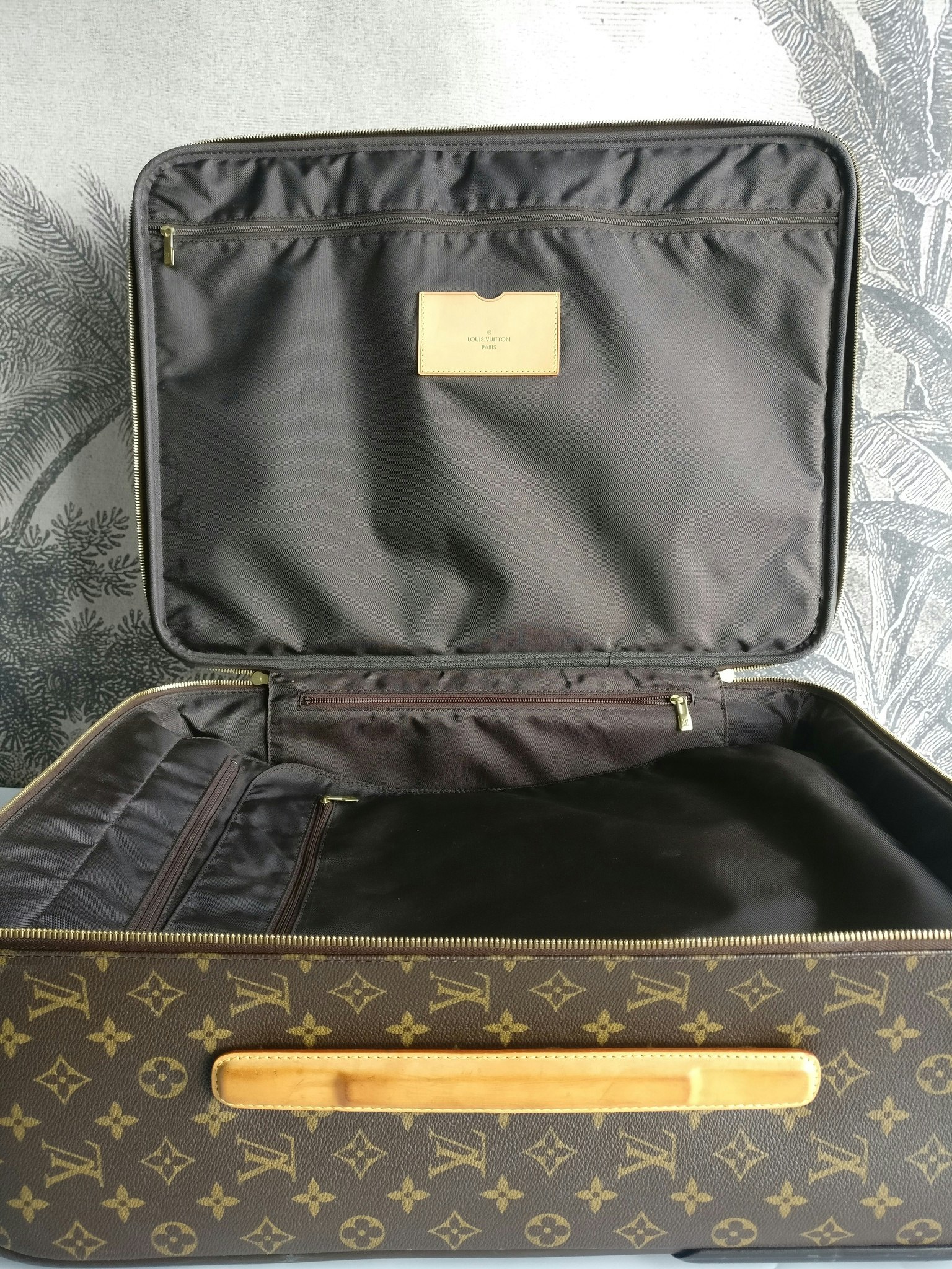 Louis Vuitton Pegase 55 with bag cover