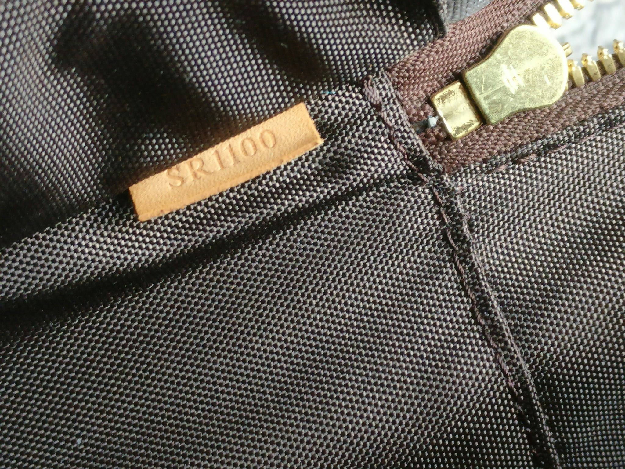 Louis Vuitton Pegase 55 with bag cover