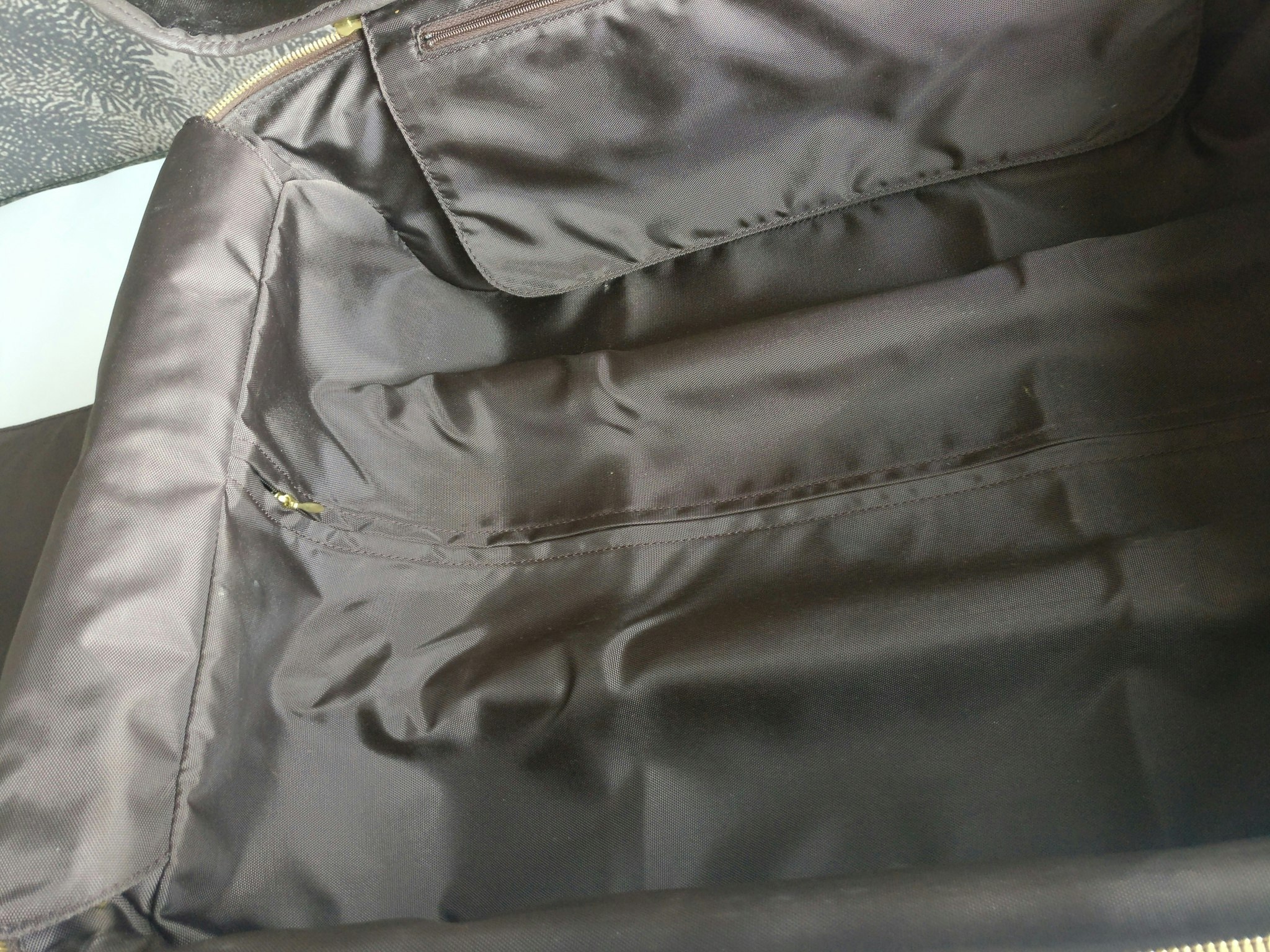 Louis Vuitton Pegase 55 with bag cover