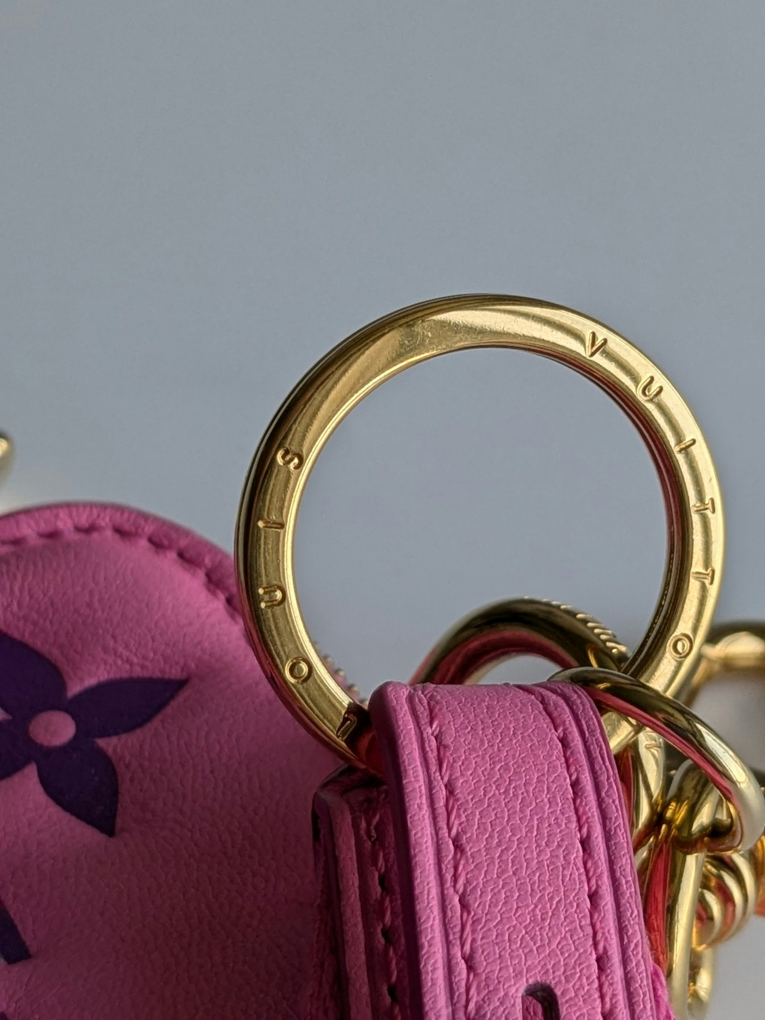 Louis Vuitton Lanyard Multipochette Key Holder