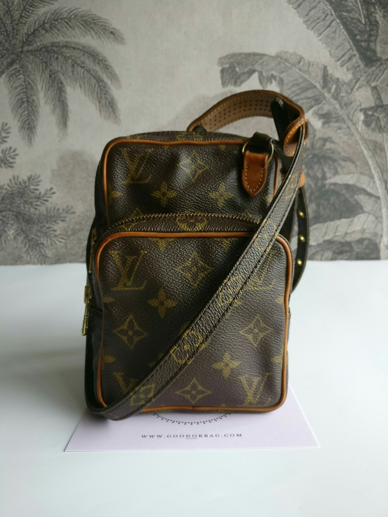 Louis Vuitton Mini Amazon