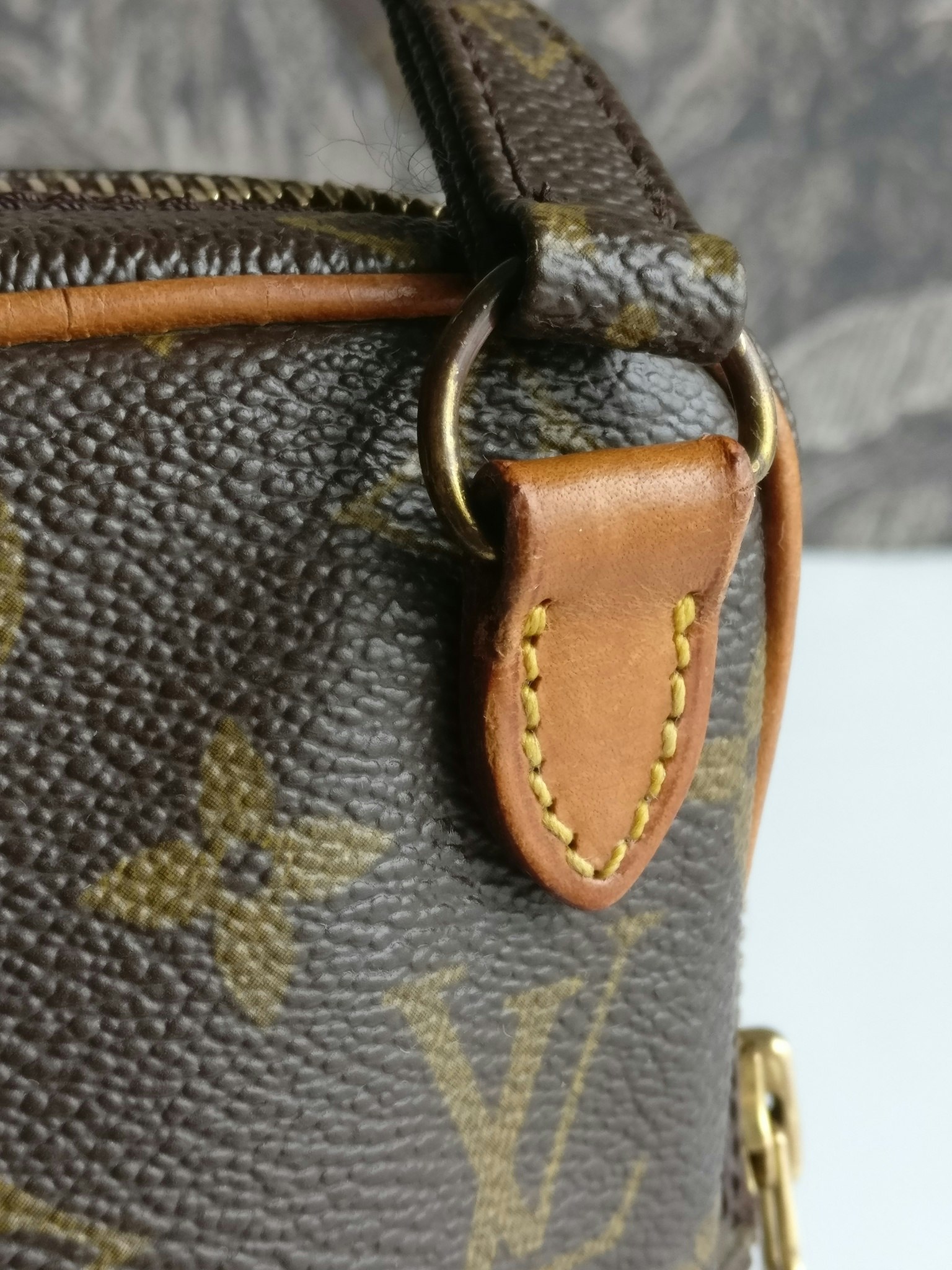 Louis Vuitton Mini Amazon