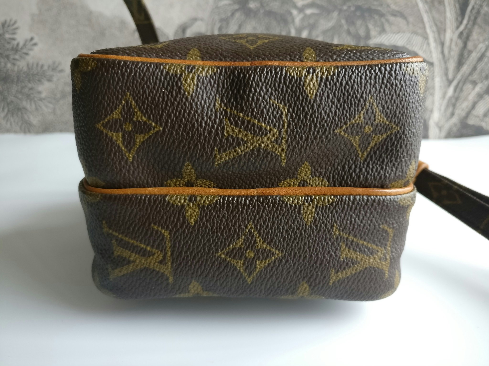 Louis Vuitton Mini Amazon