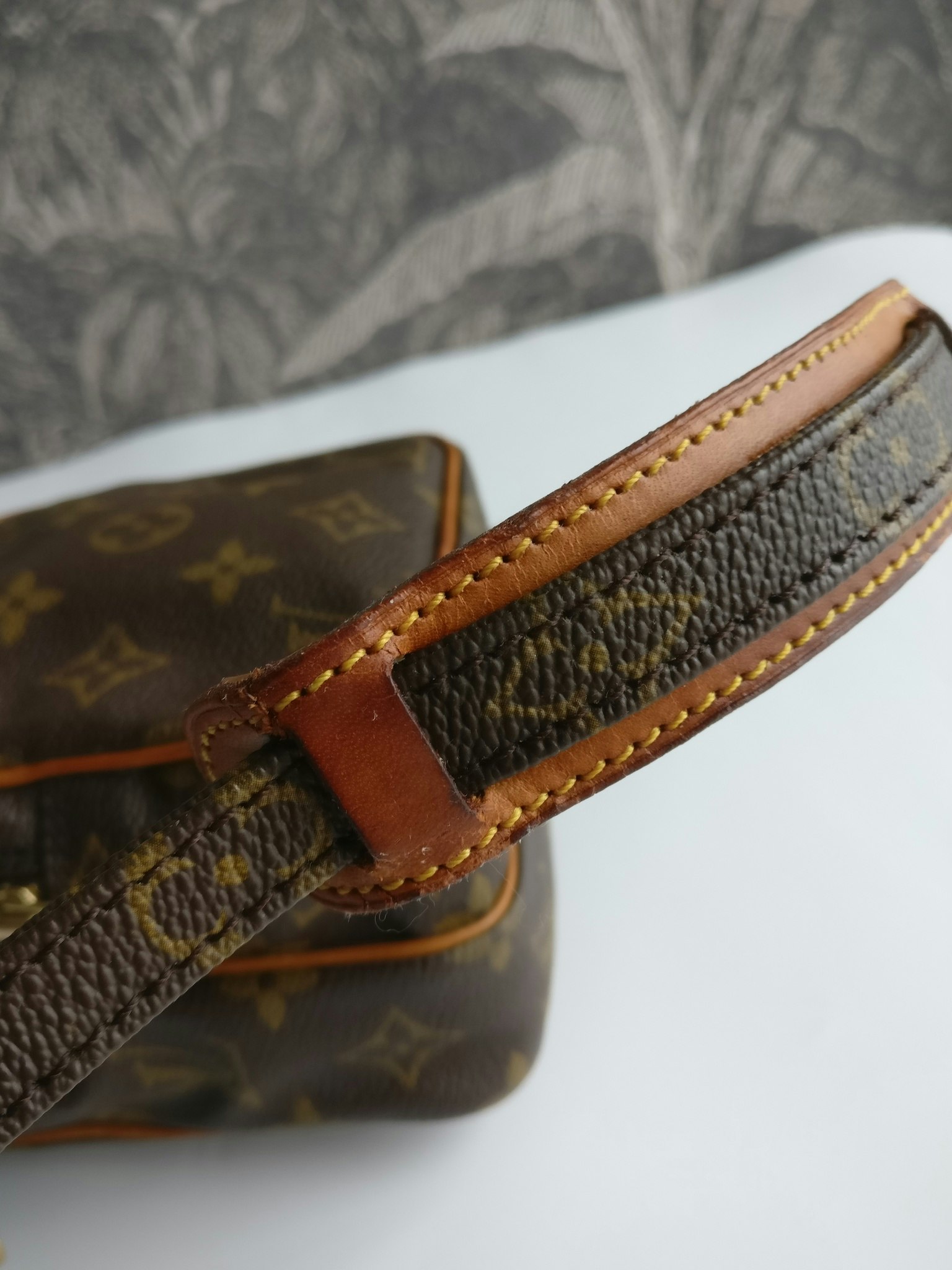Louis Vuitton Mini Amazon