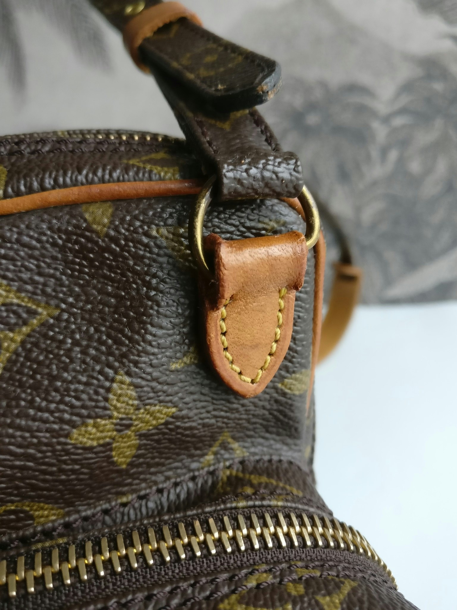 Louis Vuitton Mini Amazon