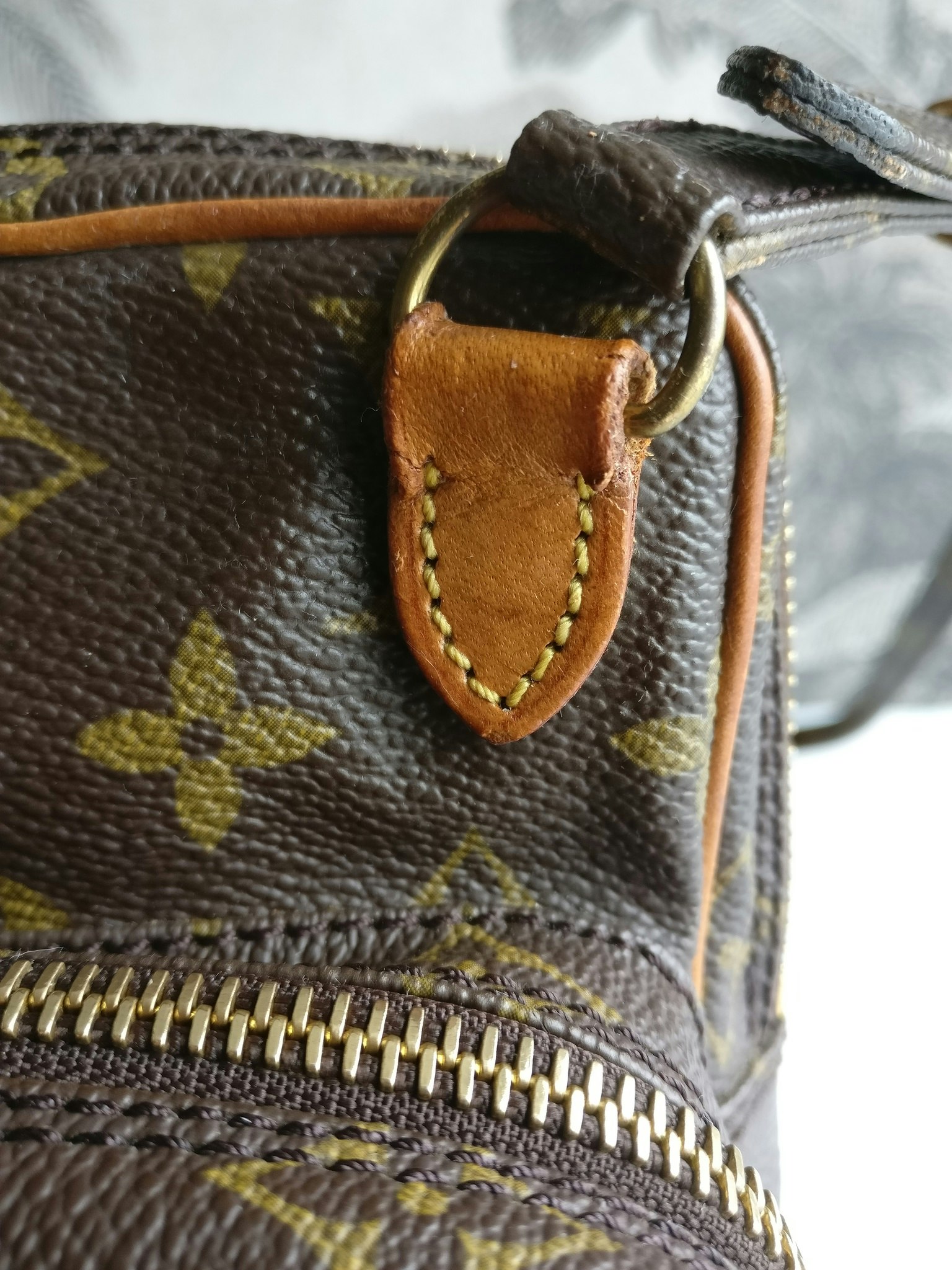 Louis Vuitton Mini Amazon