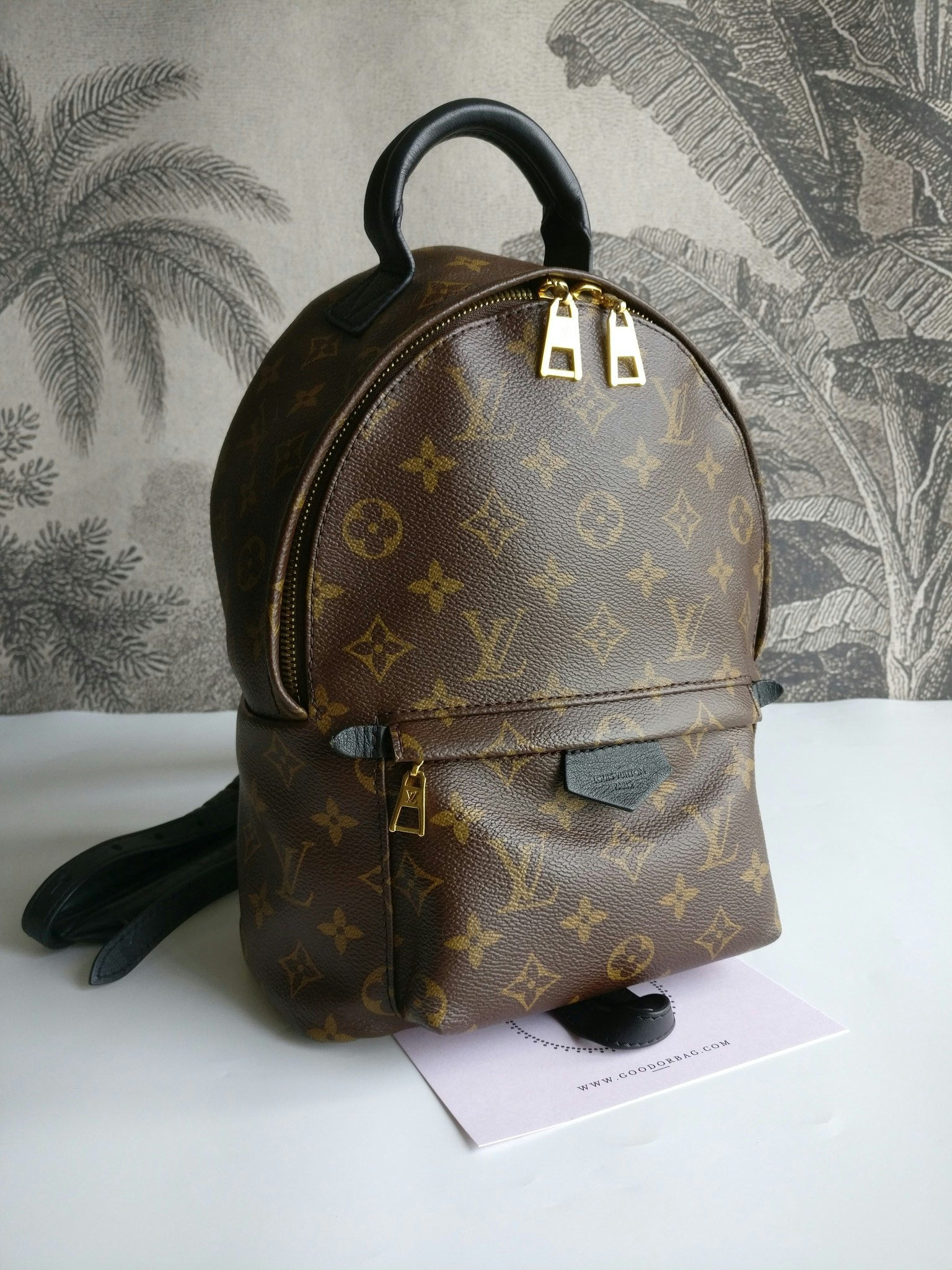 Louis Vuitton Palm Springs PM
