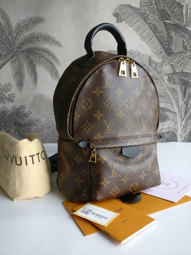 Louis Vuitton Palm Springs PM