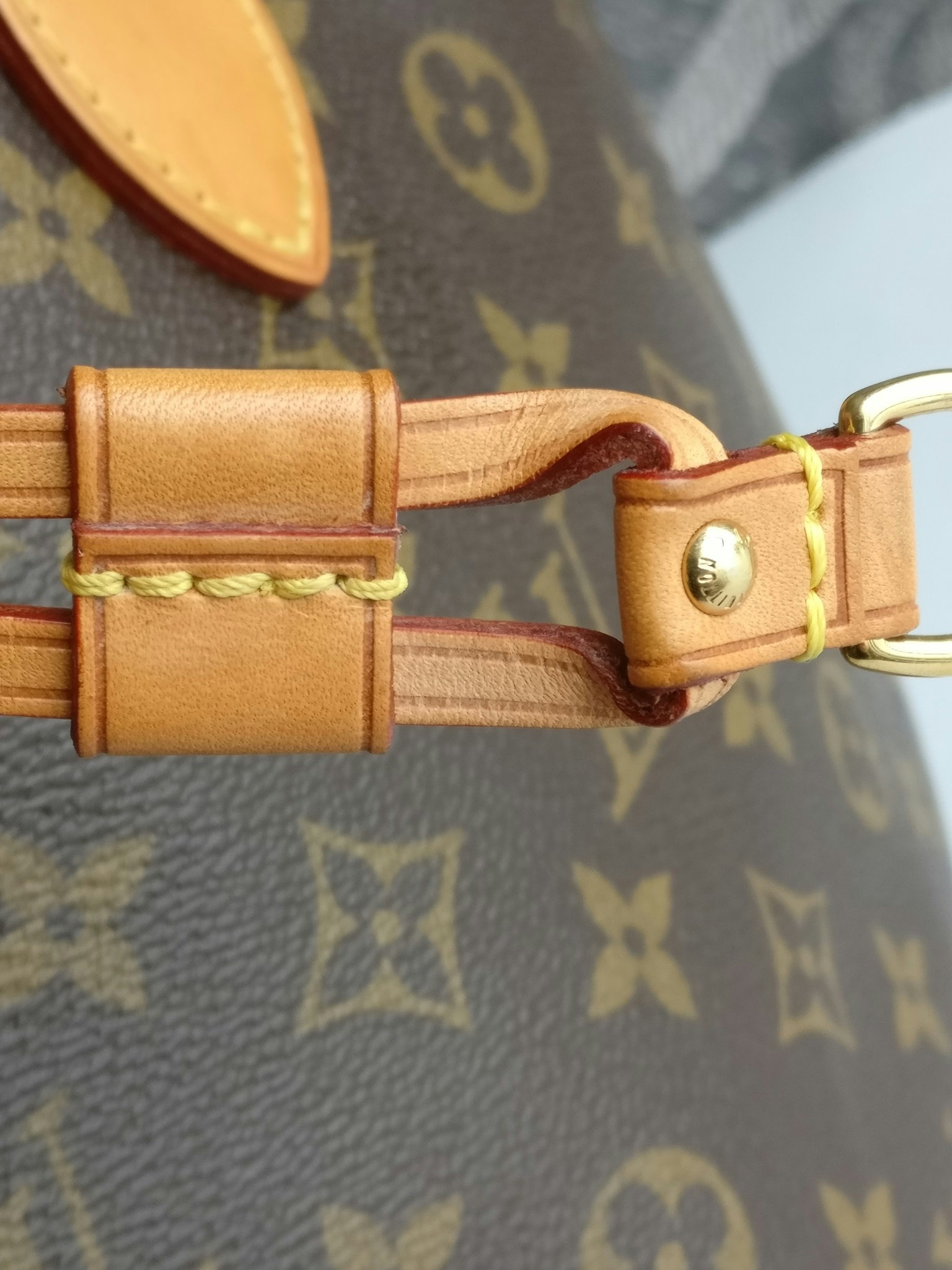 Louis Vuitton Neverfull PM