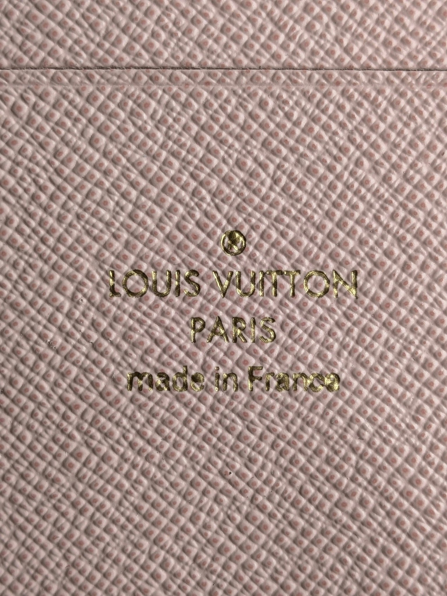 Louis Vuitton  Double Zip Pochette Illustre