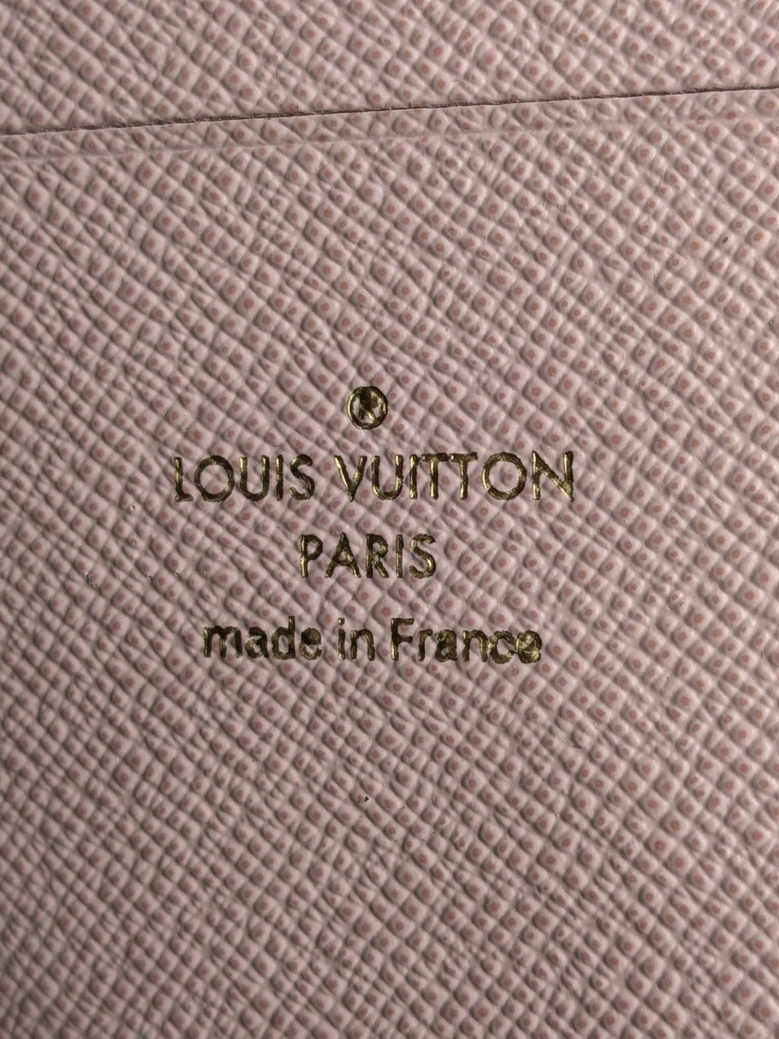 Louis Vuitton  Double Zip Pochette Illustre