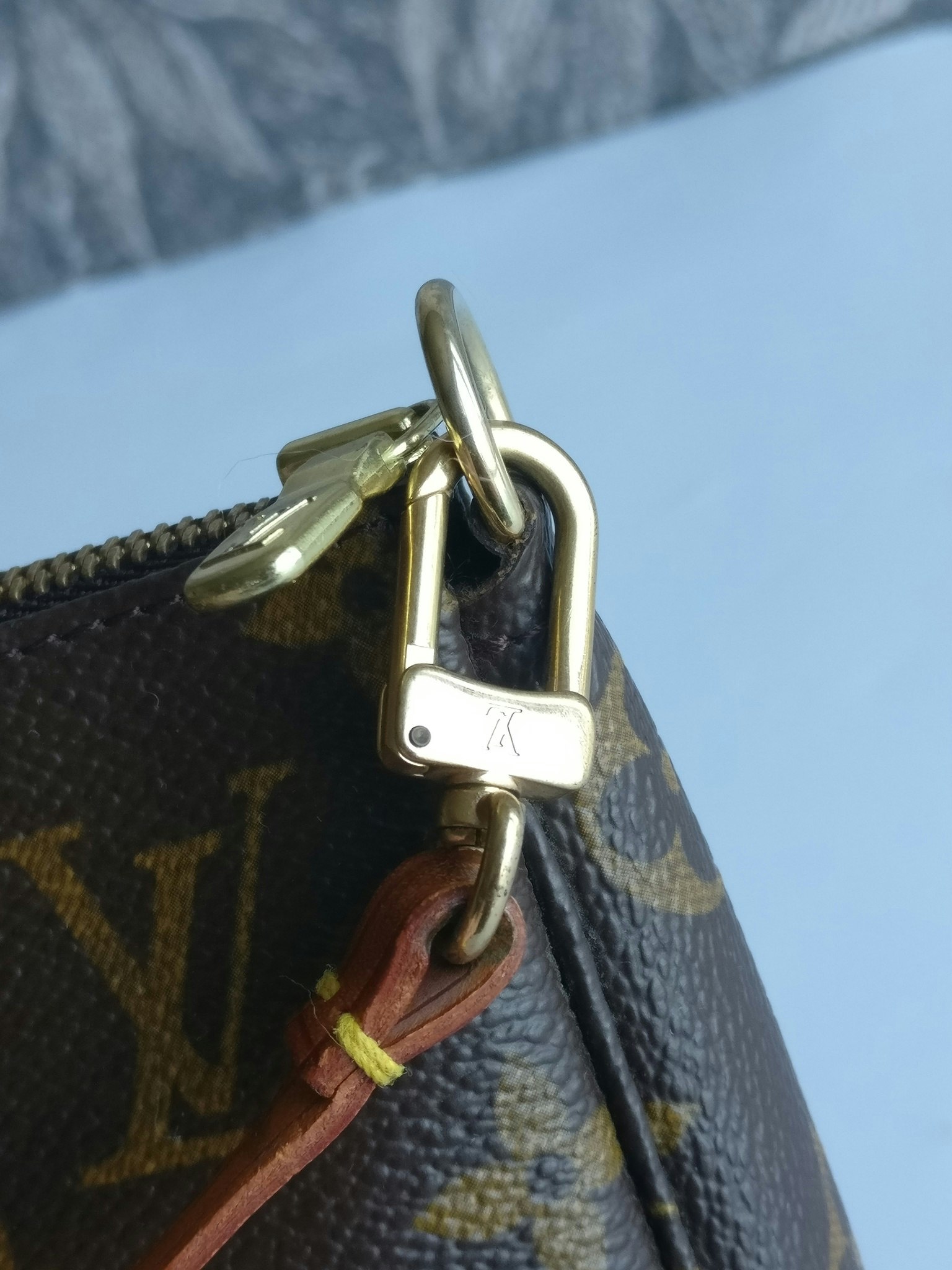 Louis Vuitton Pochette Accessoires