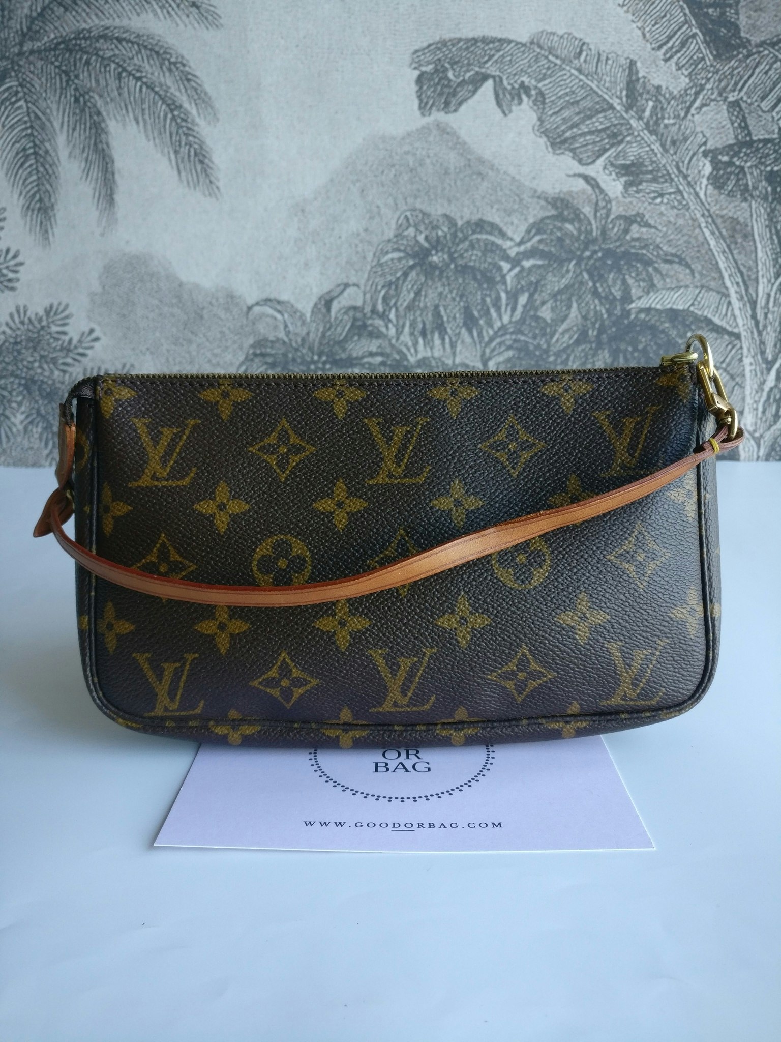 Louis Vuitton Pochette Accessoires
