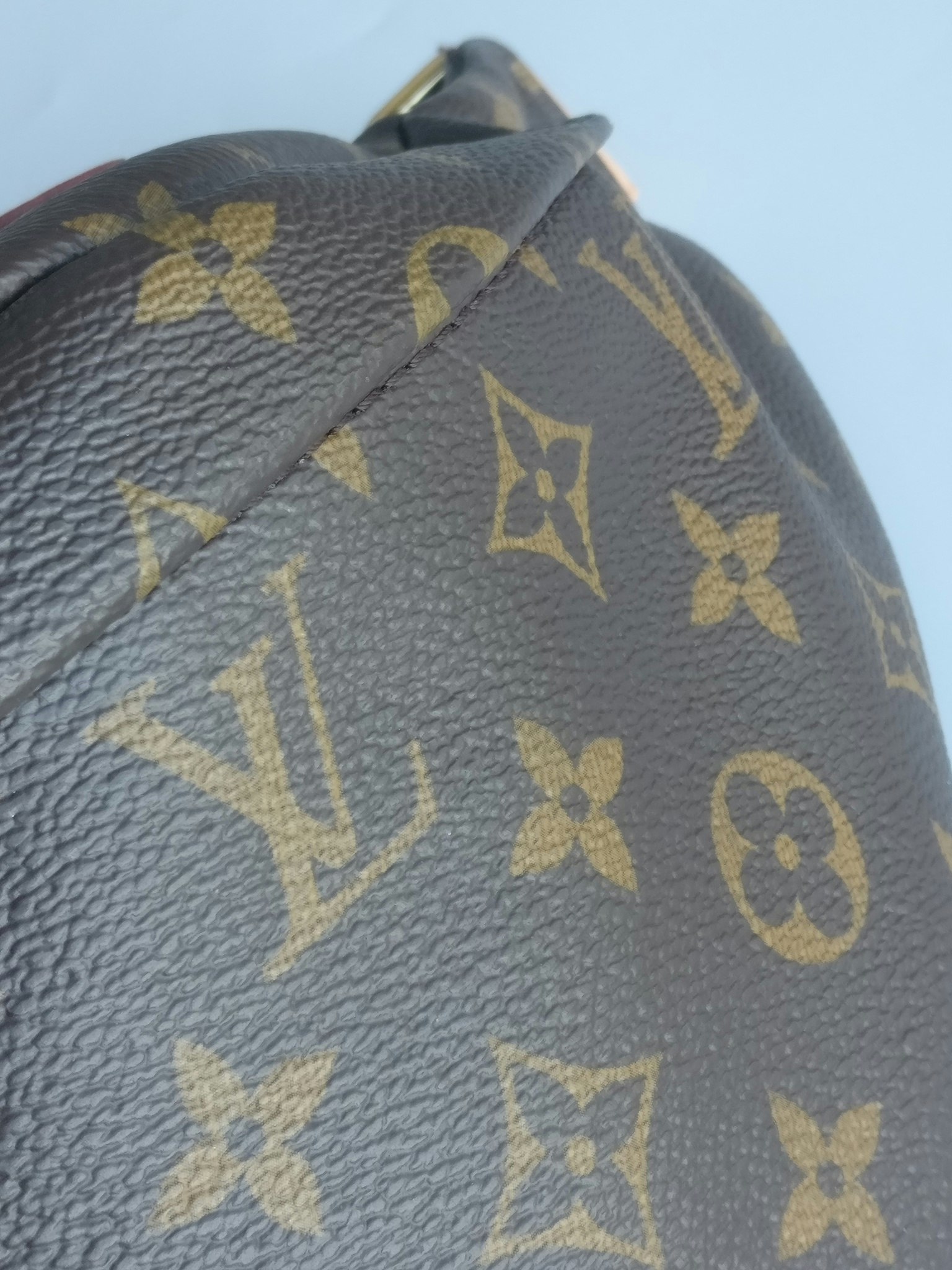 Louis Vuitton Bumbag