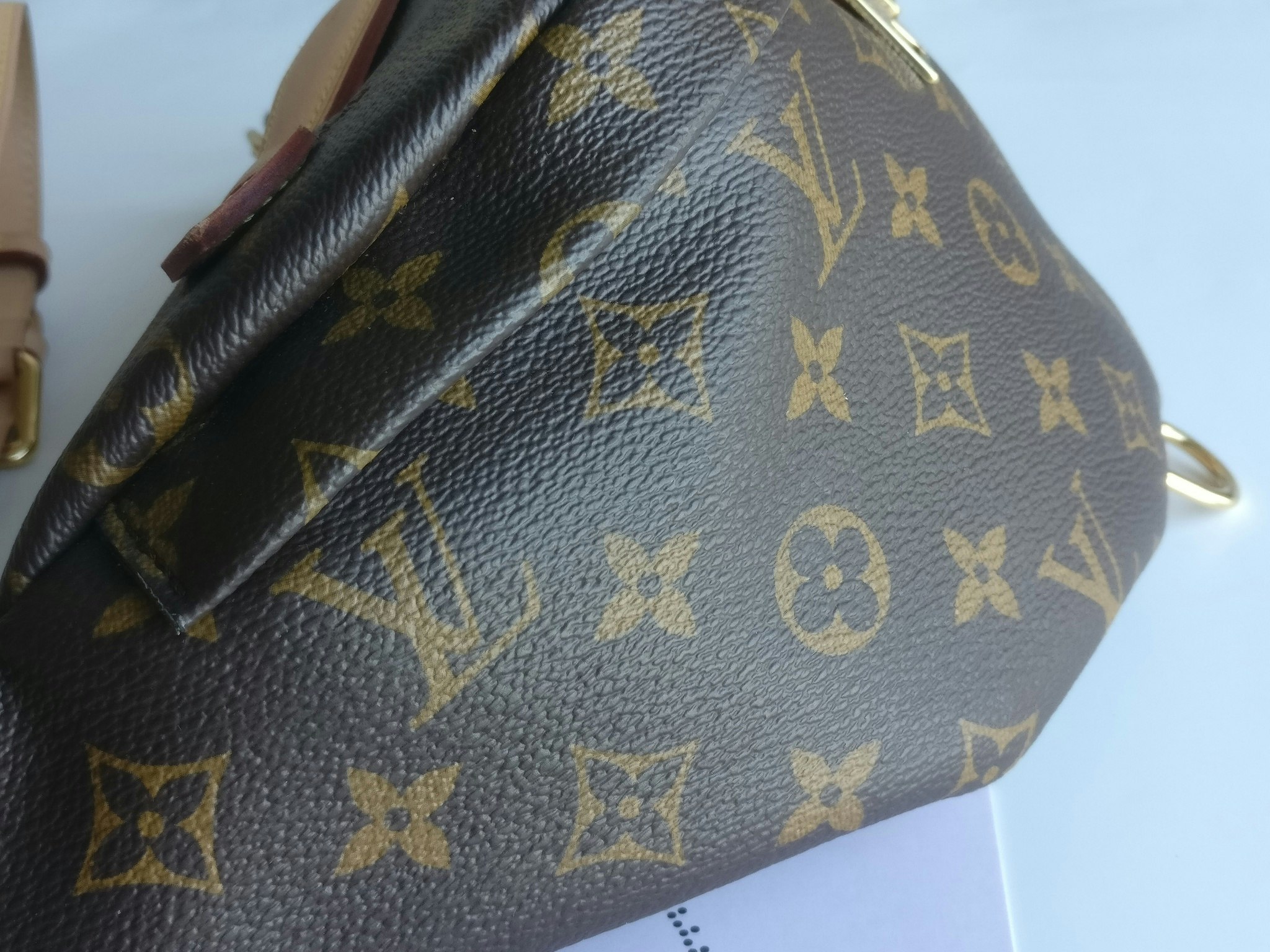 Louis Vuitton Bumbag