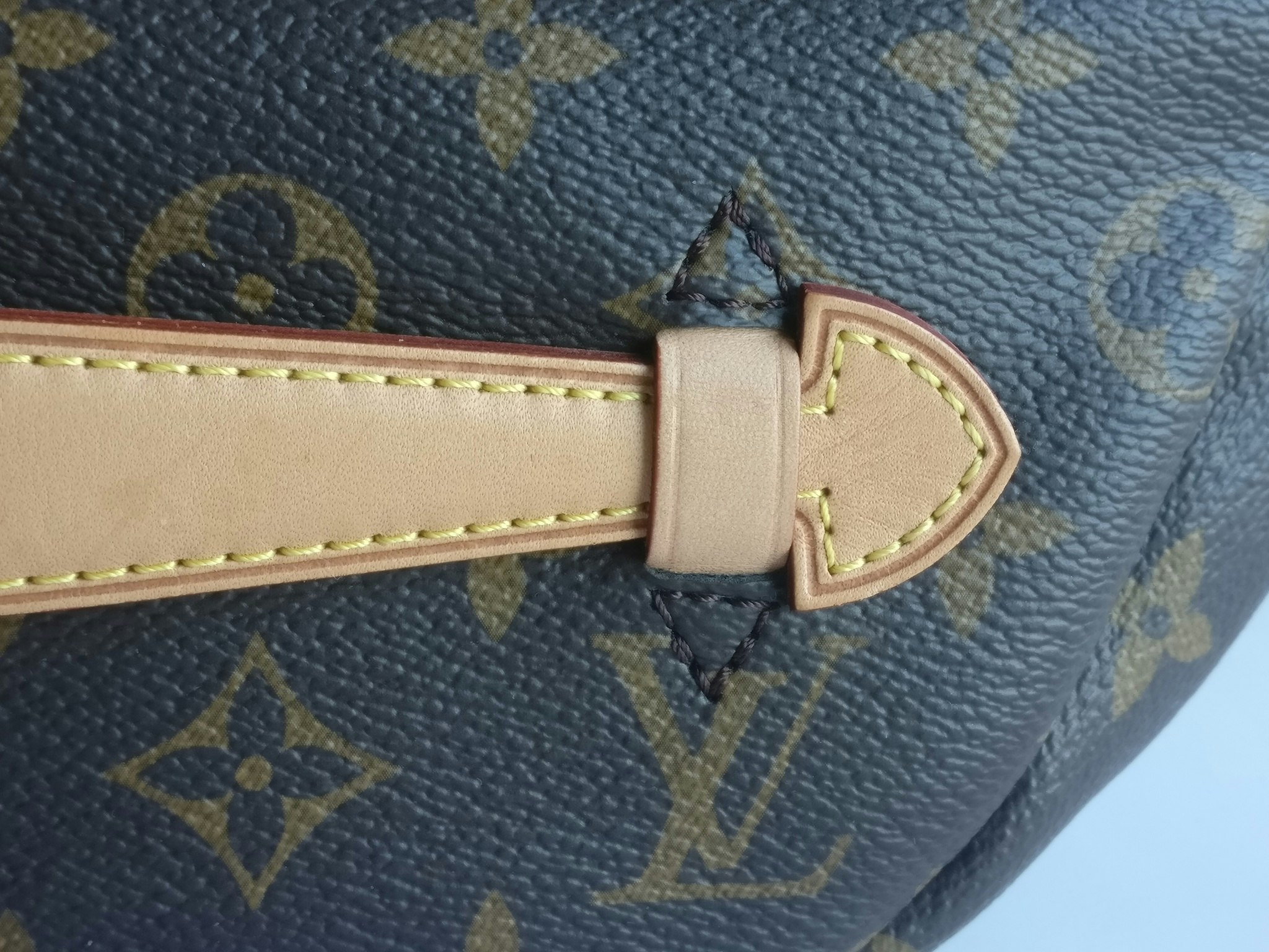 Louis Vuitton Bumbag