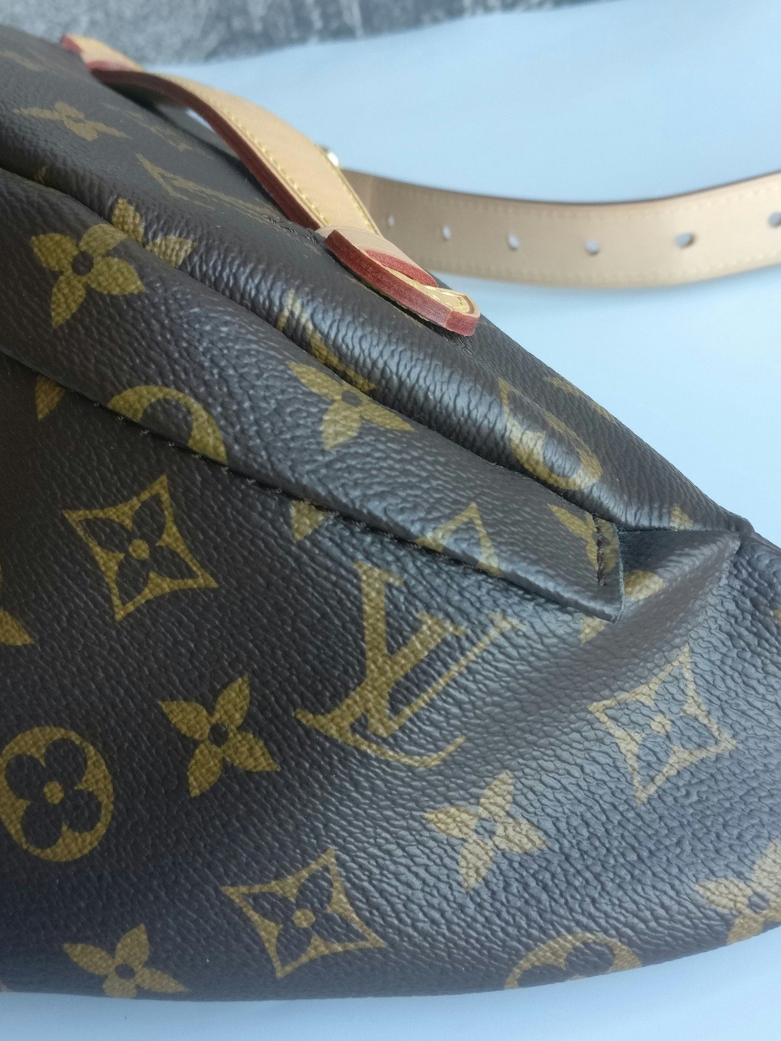 Louis Vuitton Bumbag