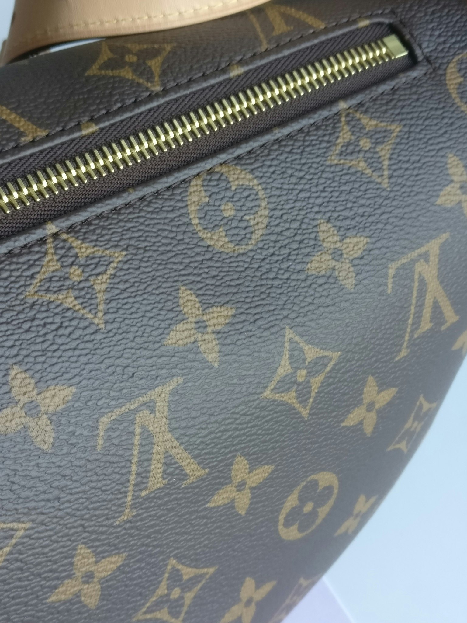 Louis Vuitton Bumbag