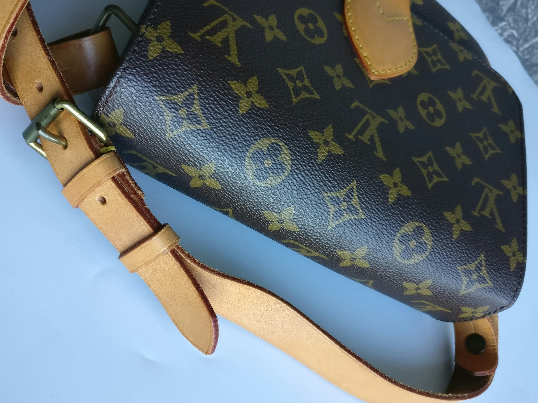 Louis Vuitton Cartouchiere MM
