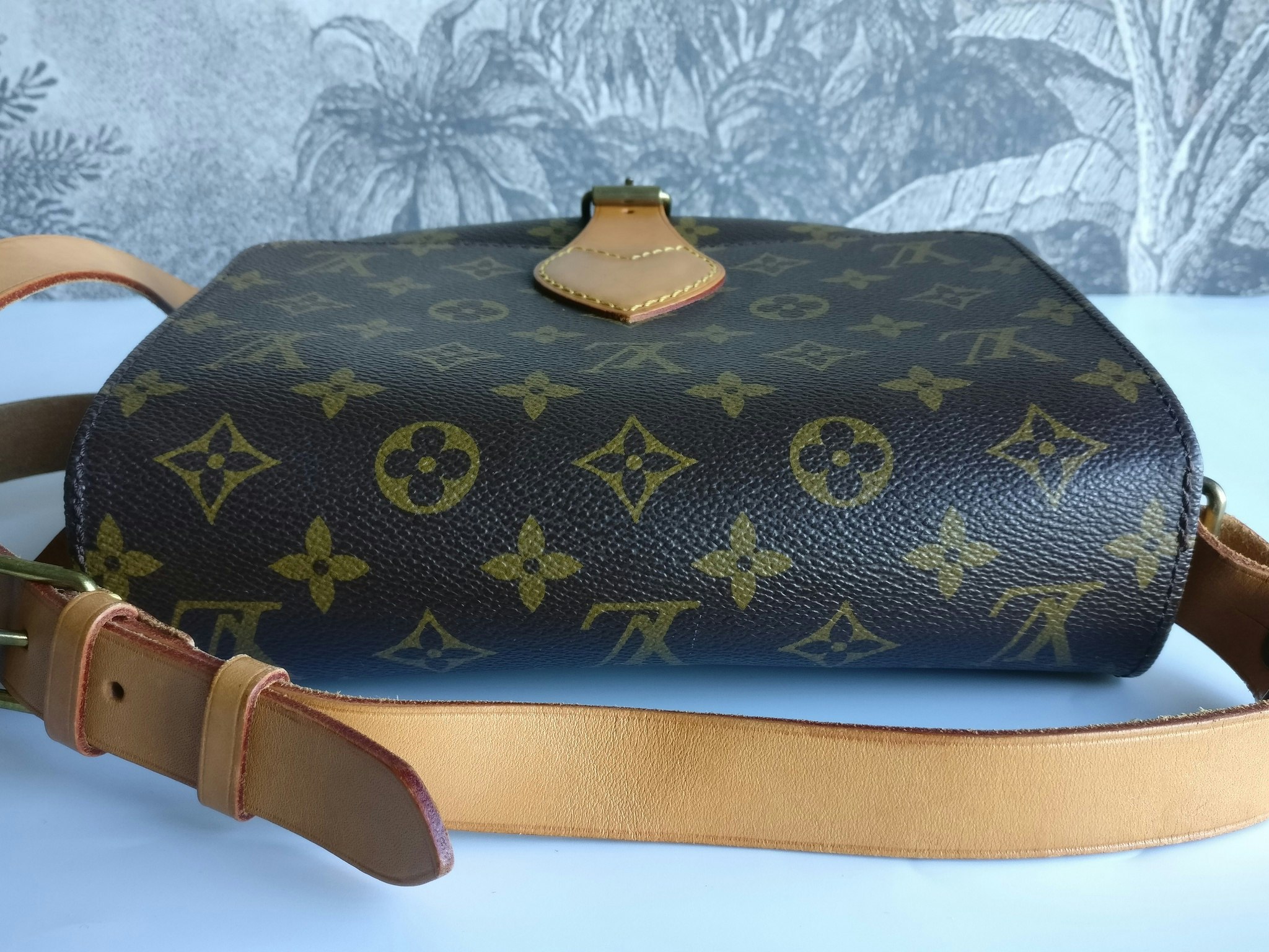 Louis Vuitton Cartouchiere MM