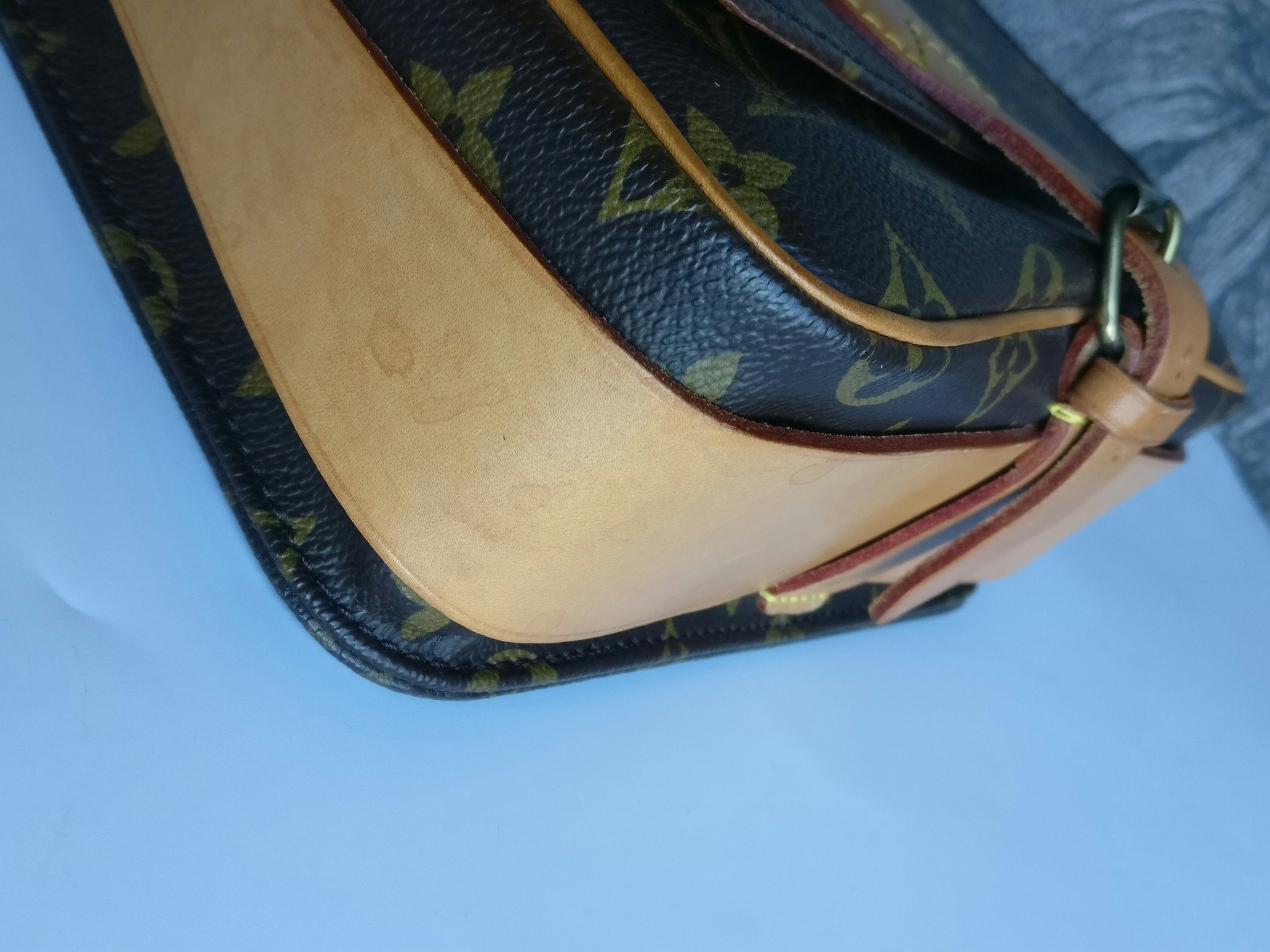 Louis Vuitton Cartouchiere MM