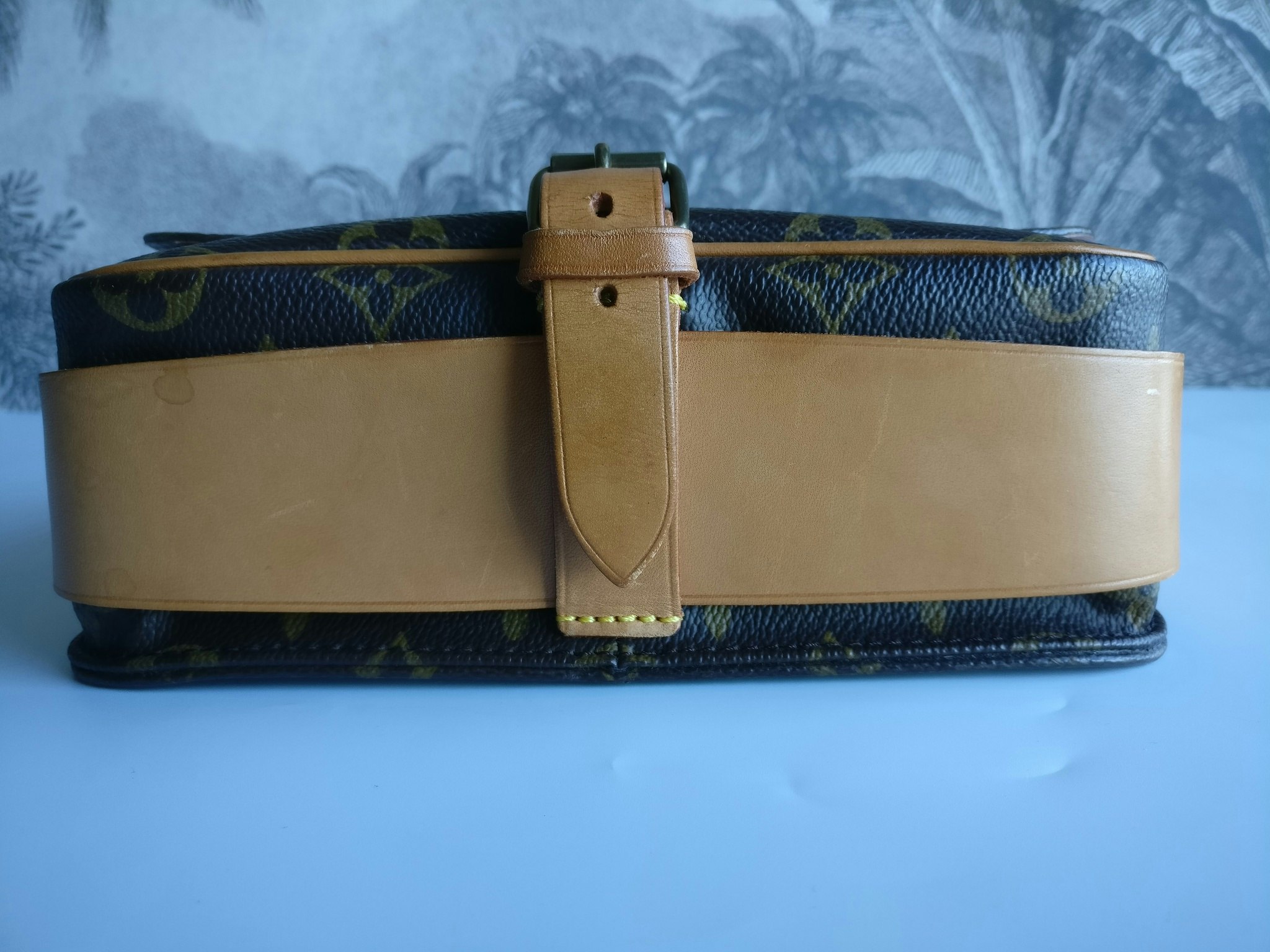 Louis Vuitton Cartouchiere MM