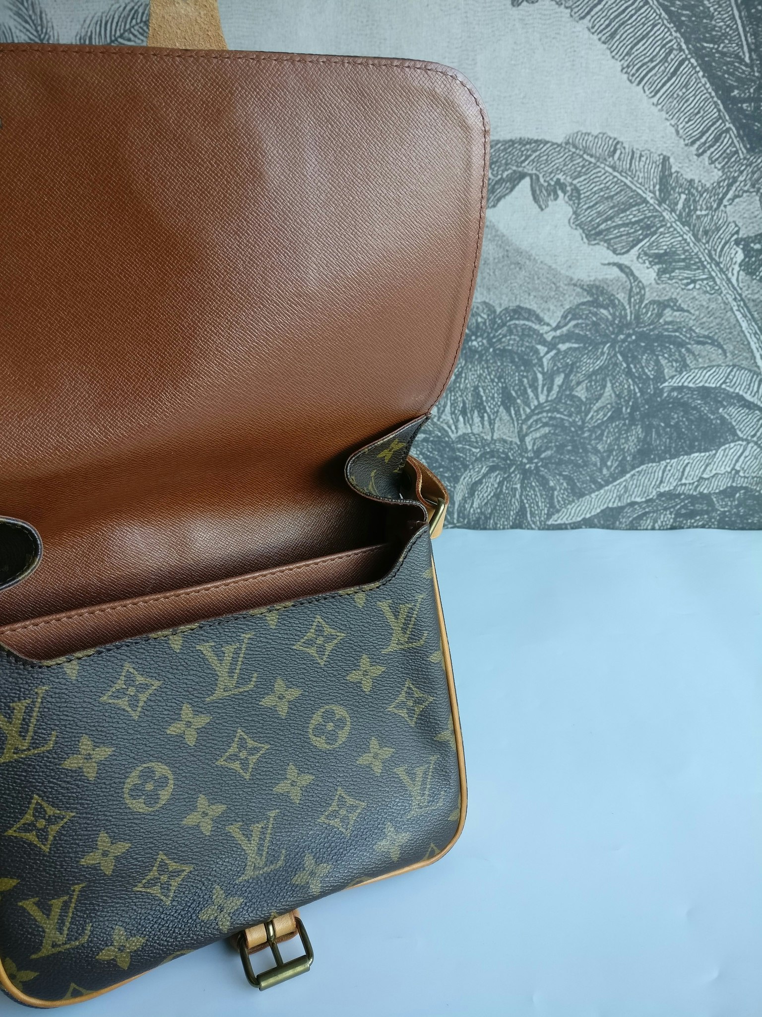 Louis Vuitton Cartouchiere MM