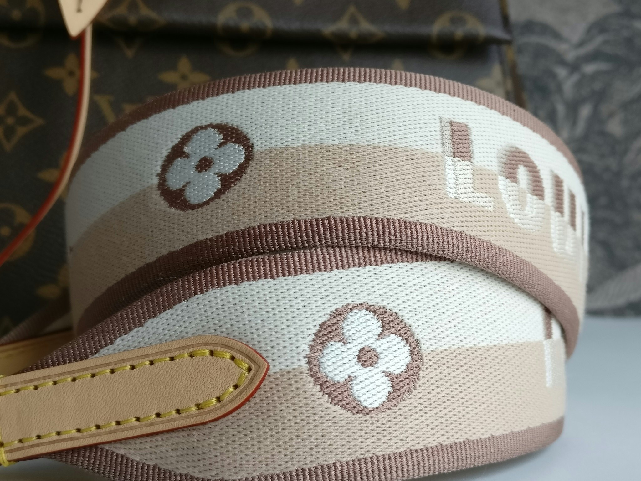 Louis Vuitton Cluny MM