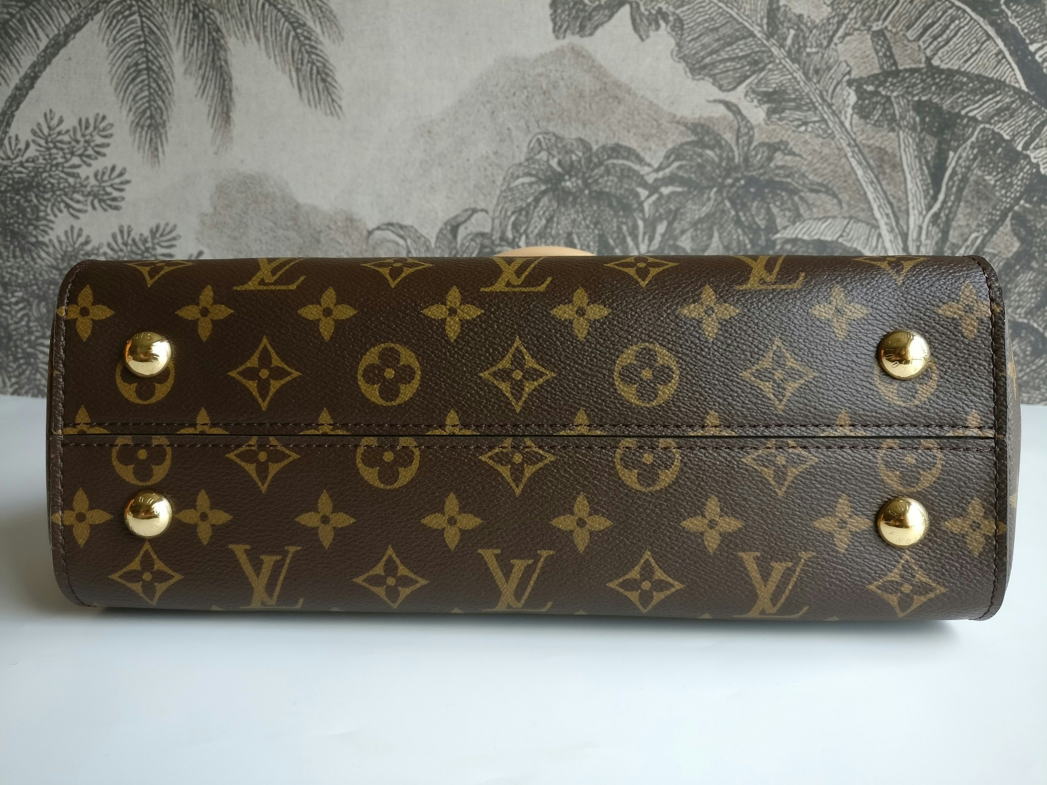 Louis Vuitton Cluny MM