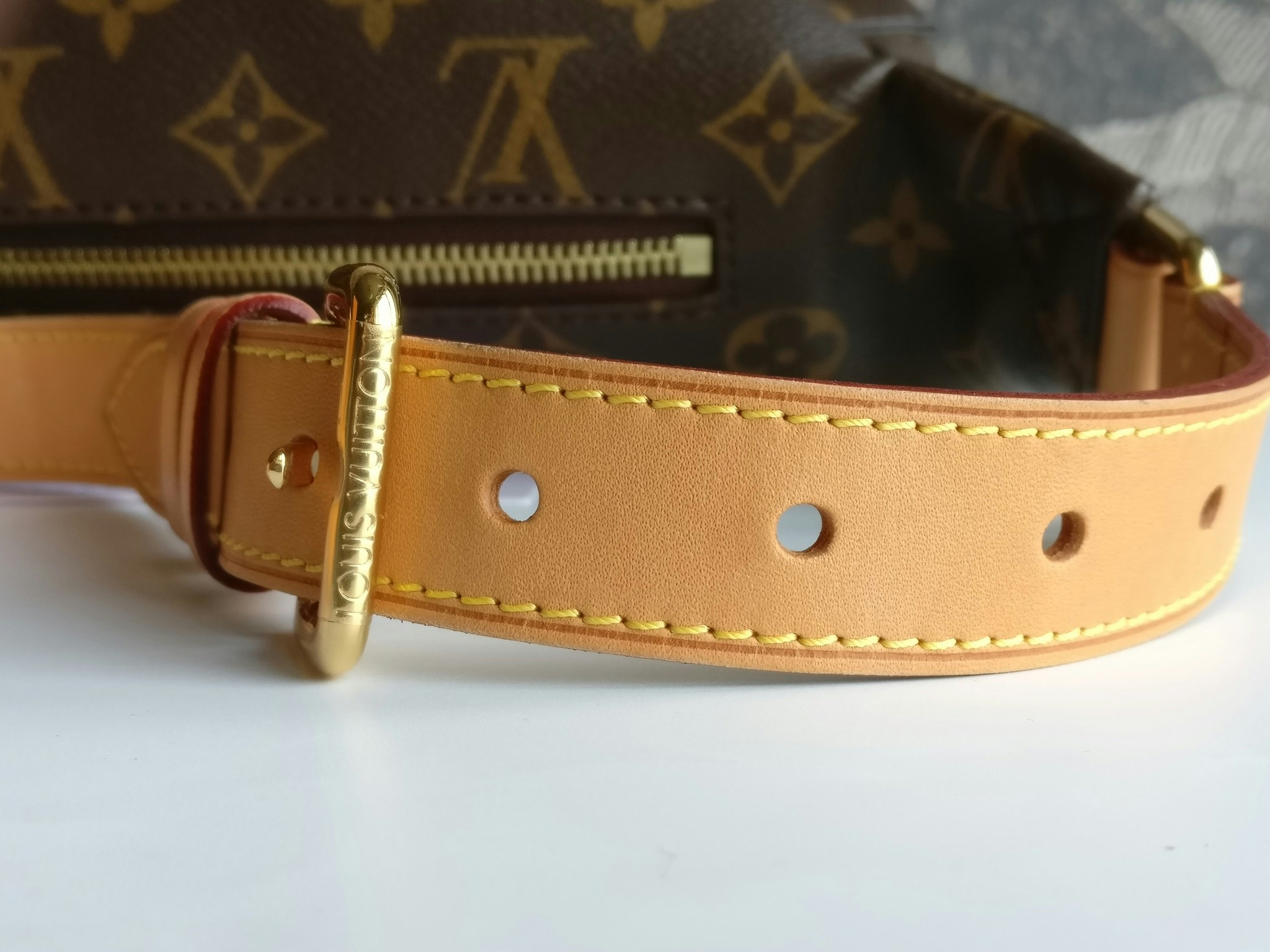 Louis Vuitton Bumbag