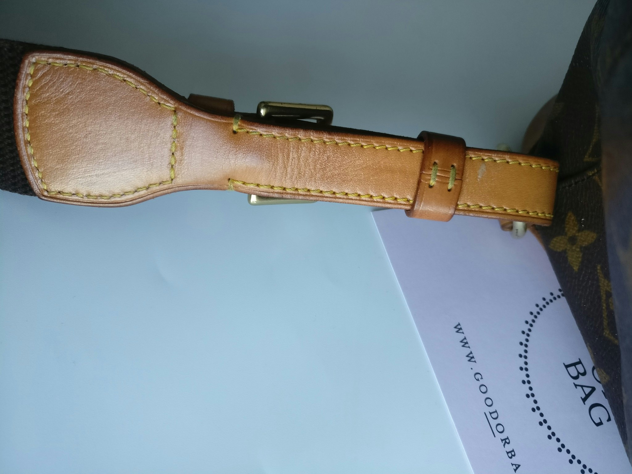 Louis Vuitton Montsouris GM backpack
