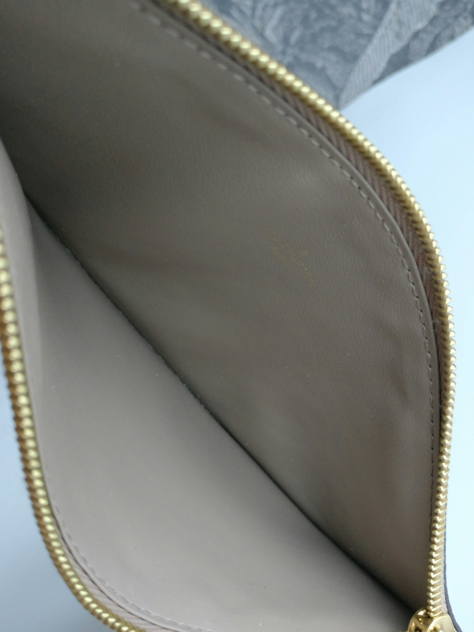 Louis Vuitton Felicie zip pouch