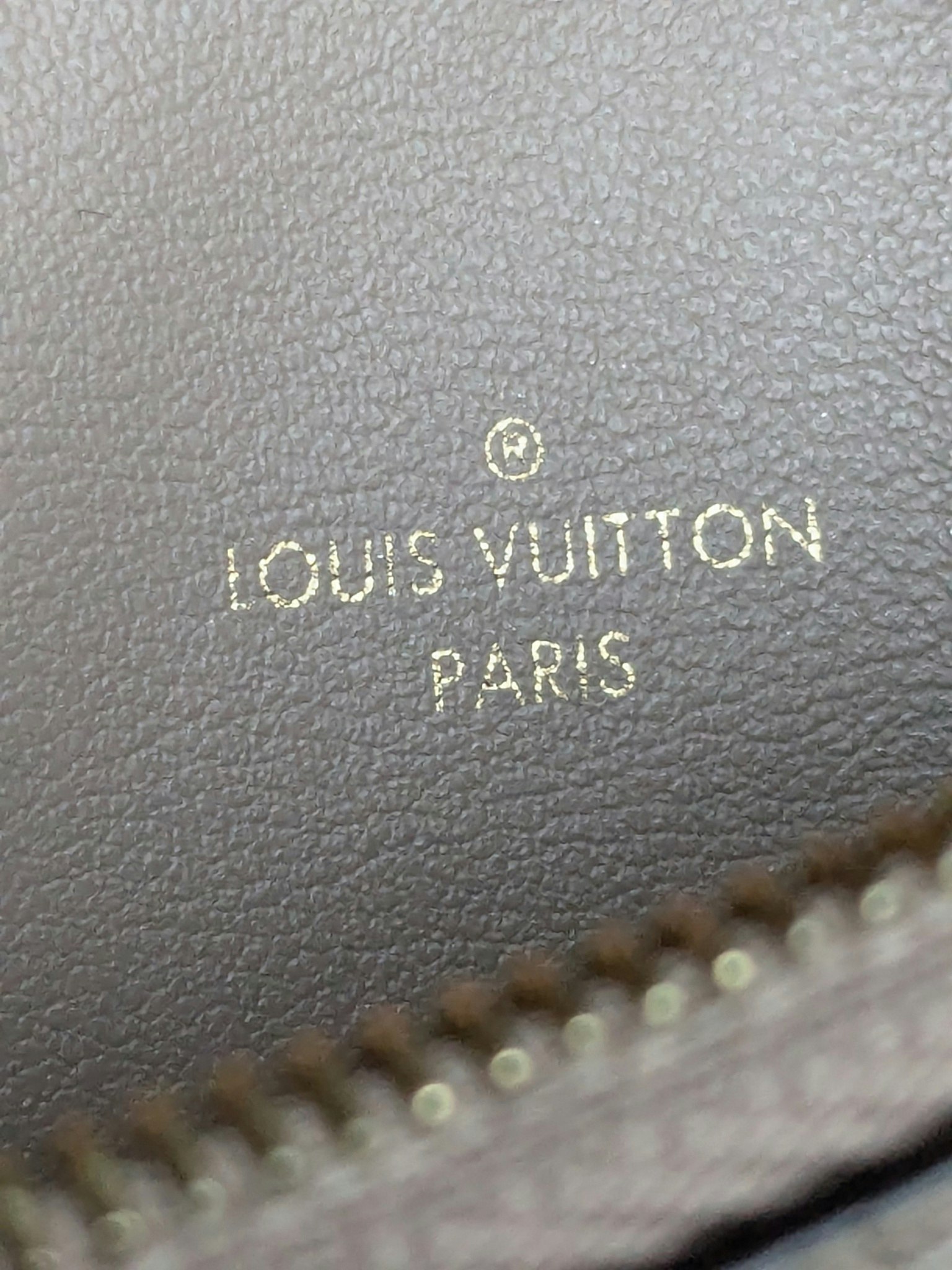 Louis Vuitton Felicie zip pouch
