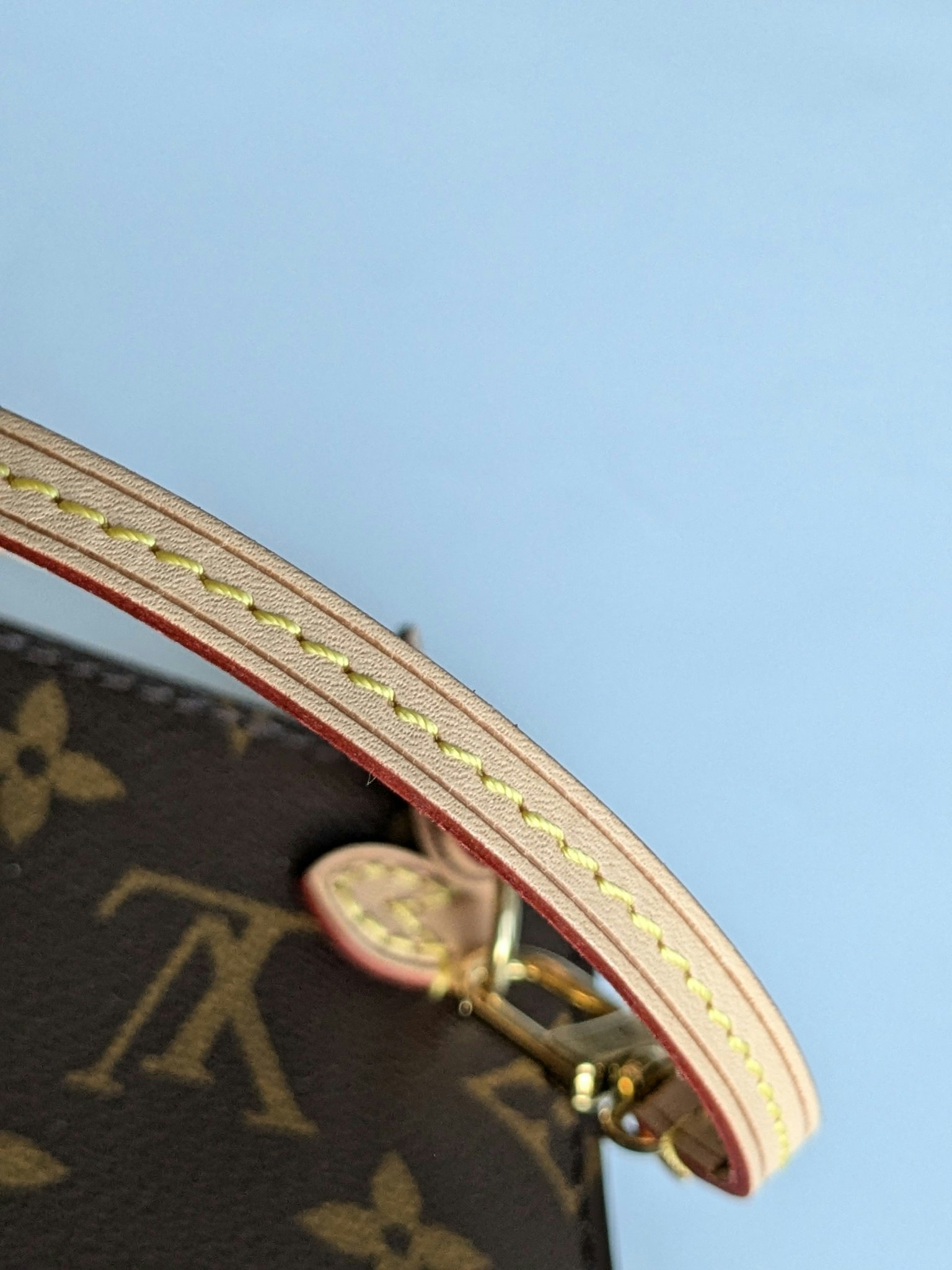 Louis Vuitton Neverfull MM pochette