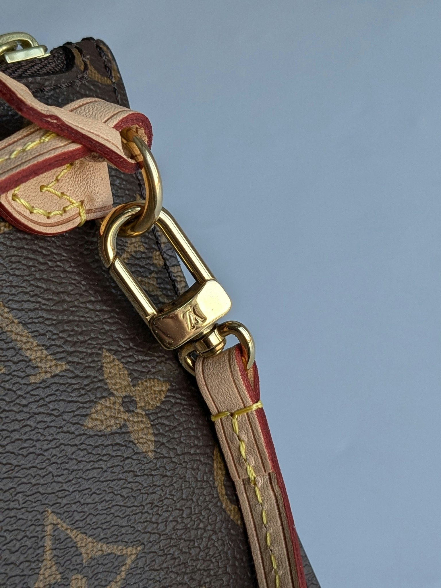 Louis Vuitton Neverfull MM pochette