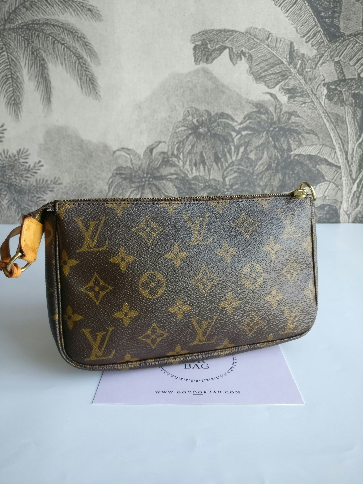 Louis Vuitton Pochette Accessoires