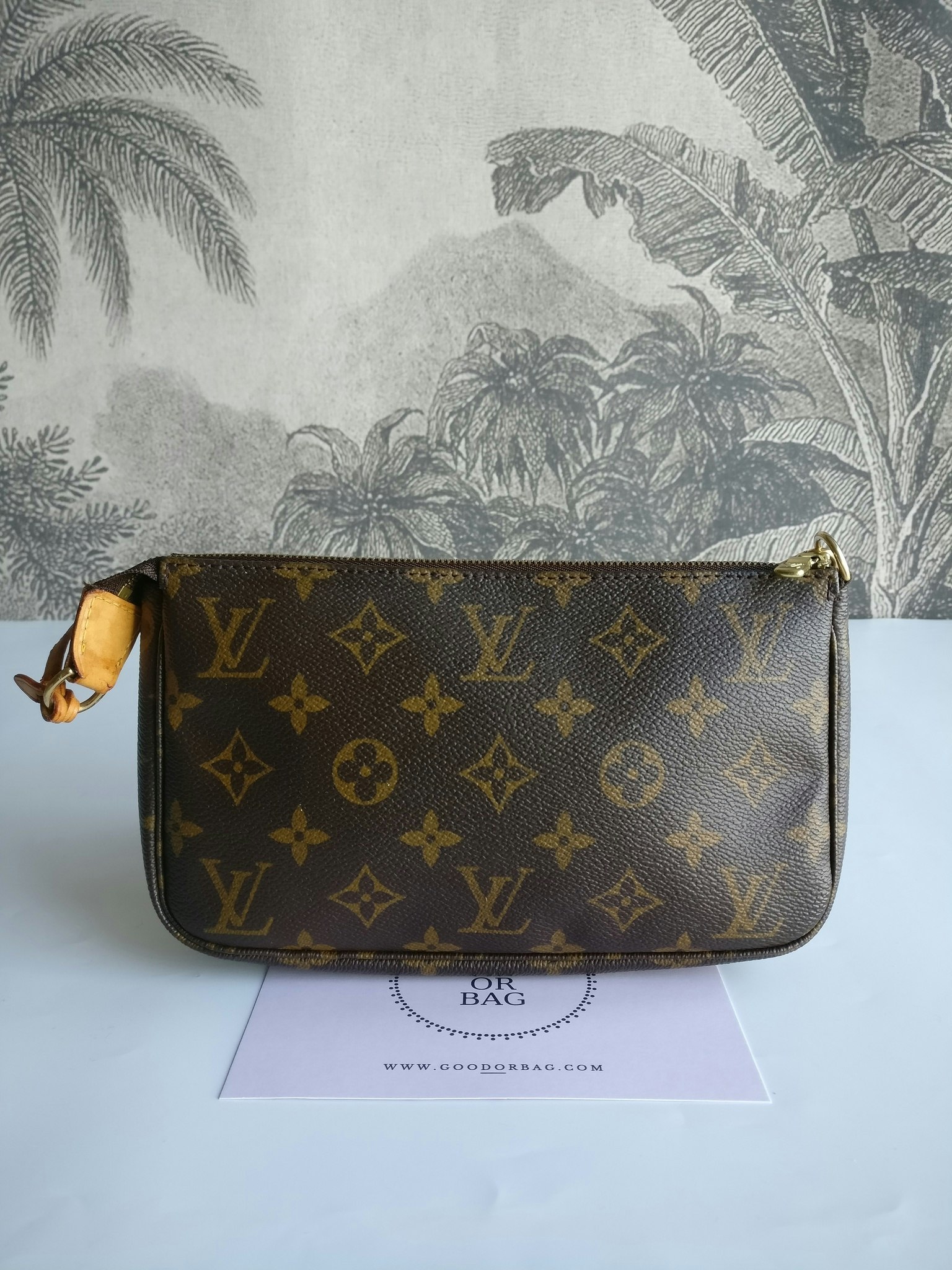 Louis Vuitton Pochette Accessoires